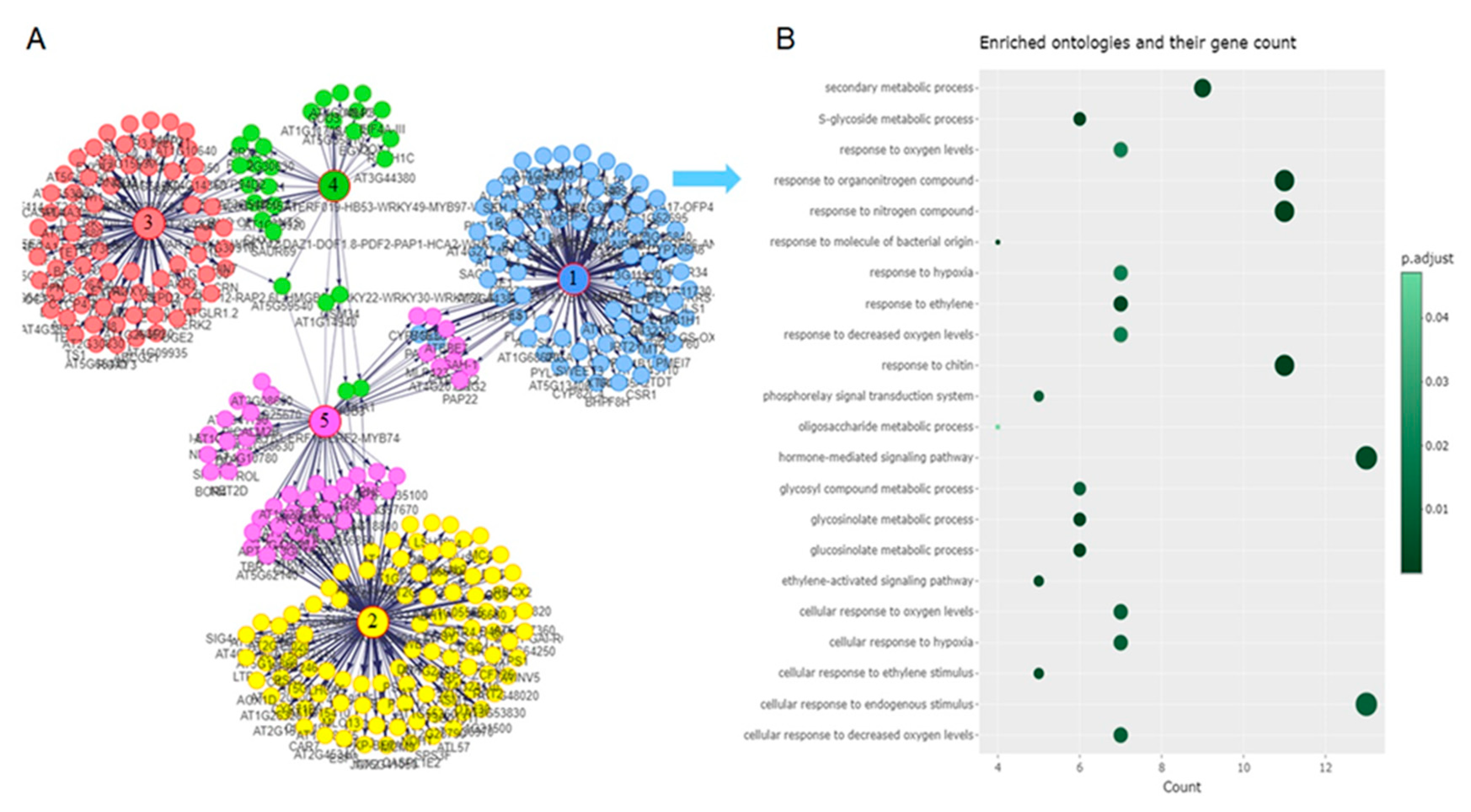 Preprints 78184 g007