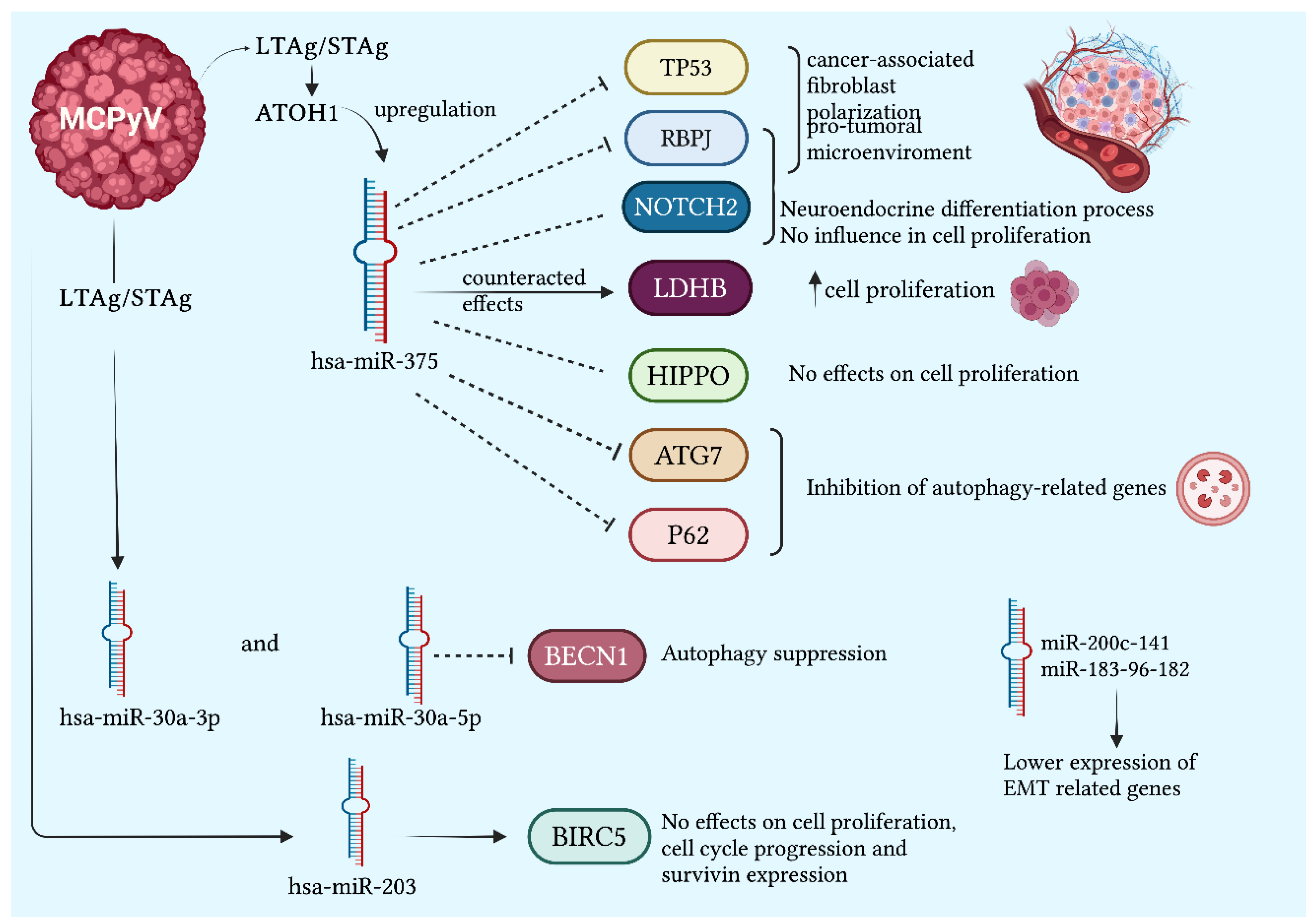 Preprints 101467 g004