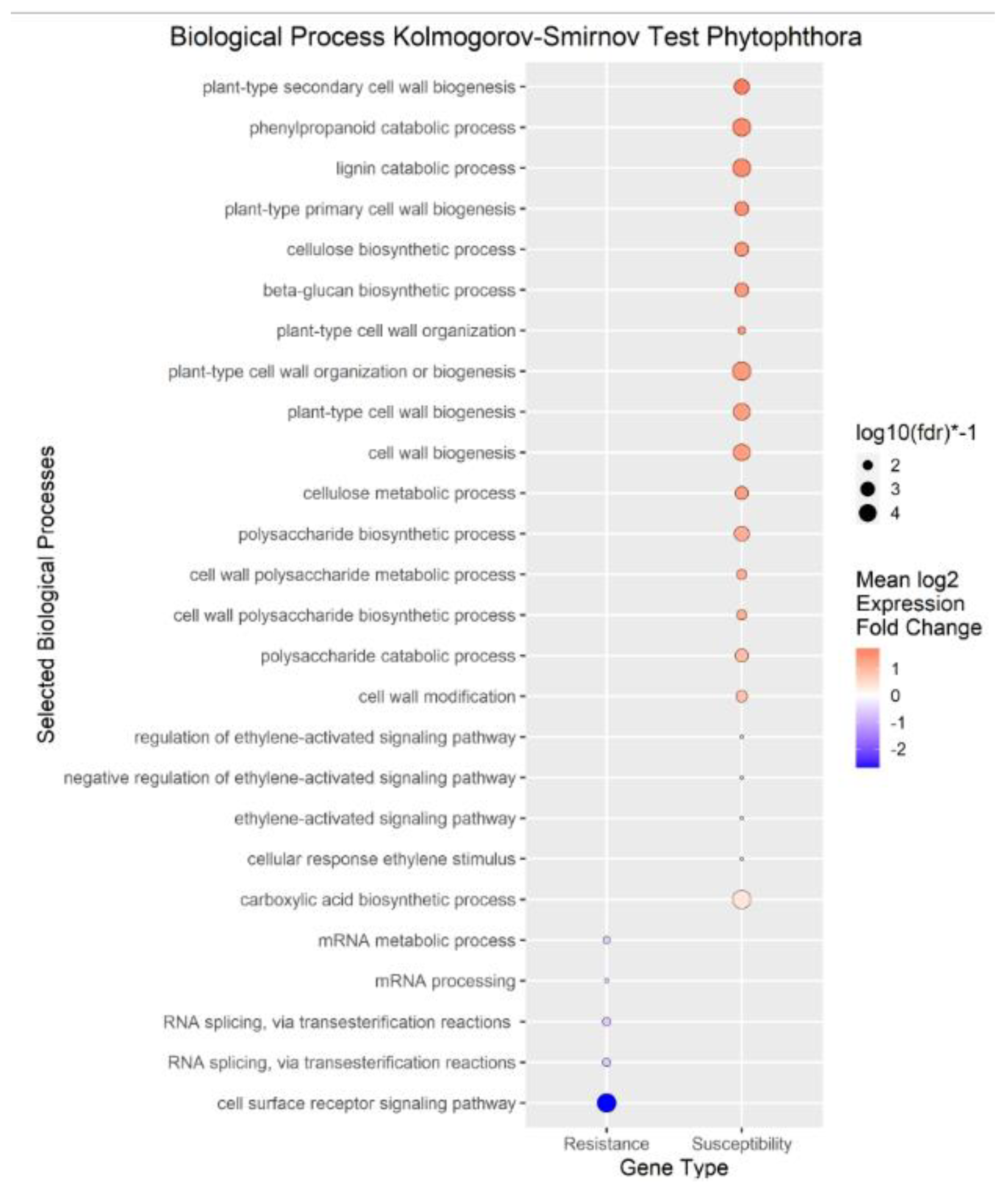 Preprints 92086 g004