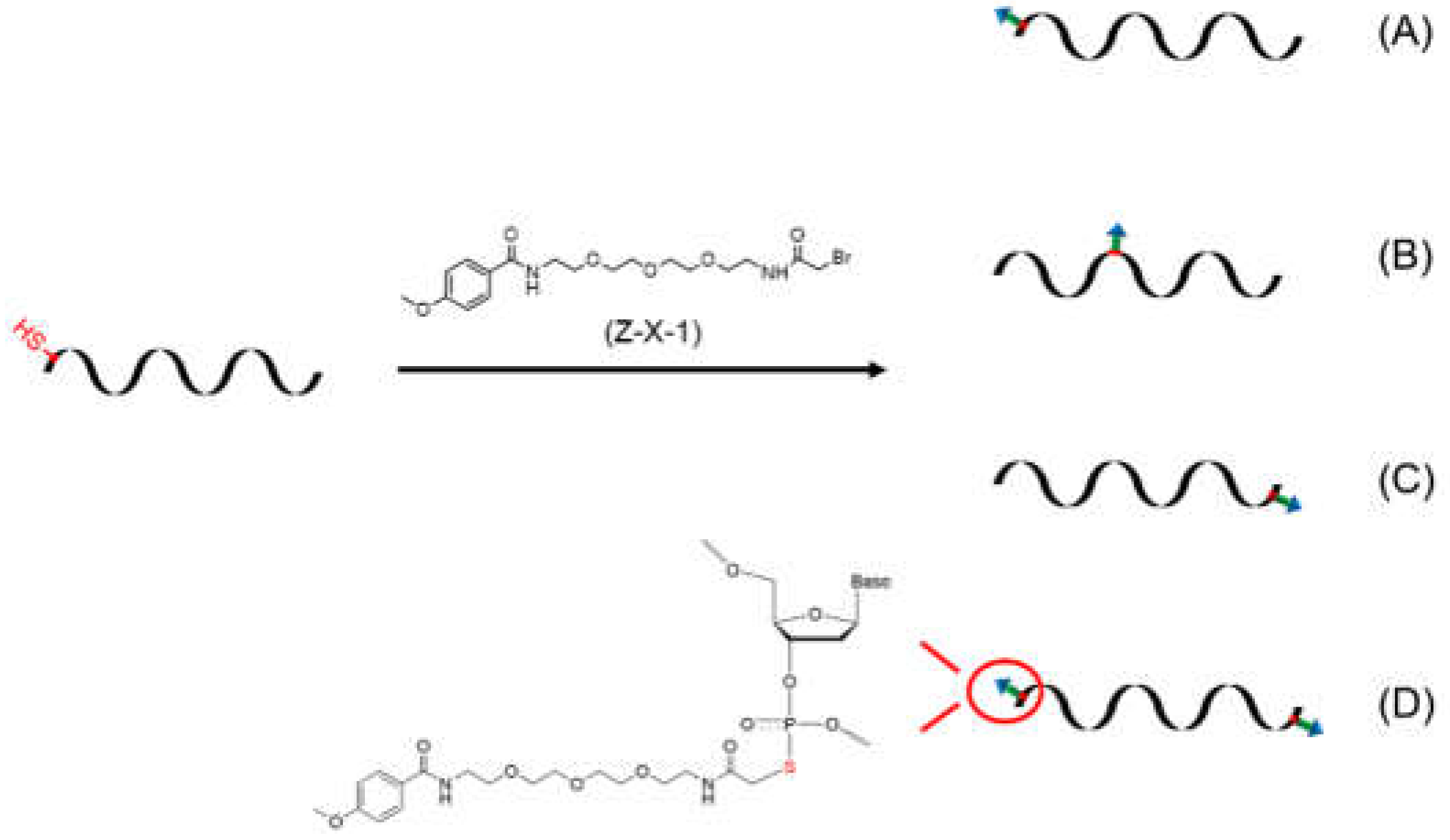 Preprints 71441 g001