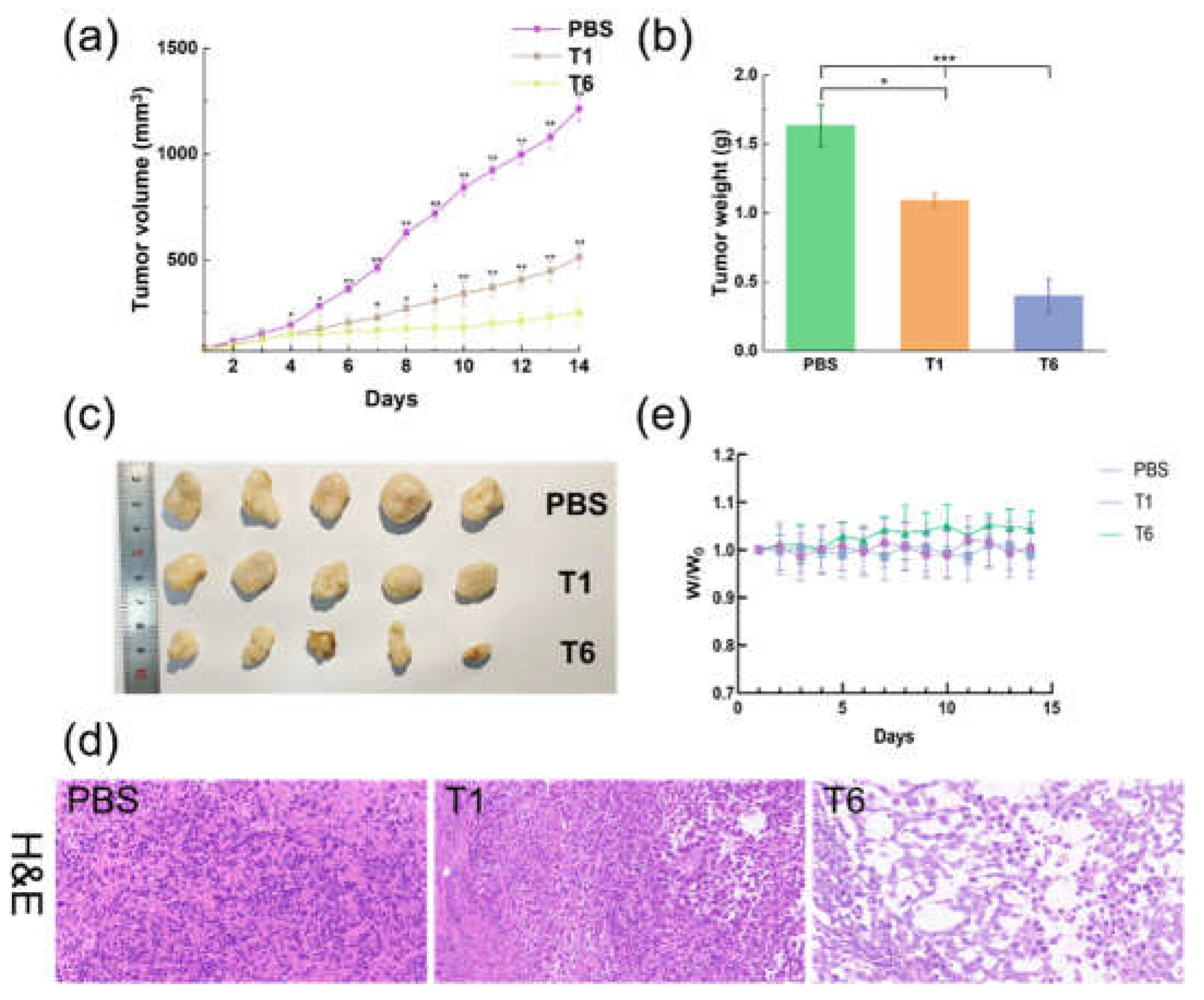 Preprints 71441 g009