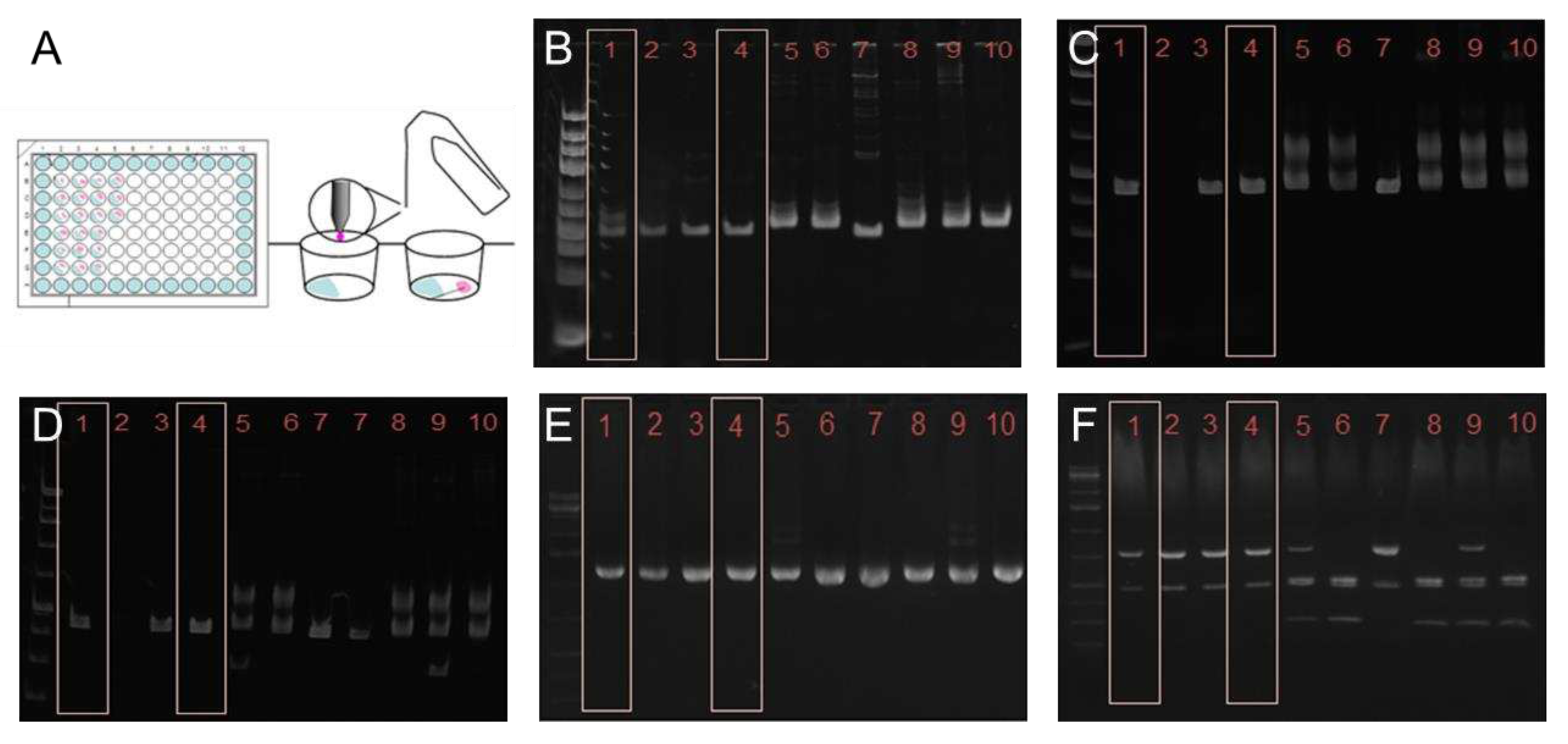 Preprints 83689 g001