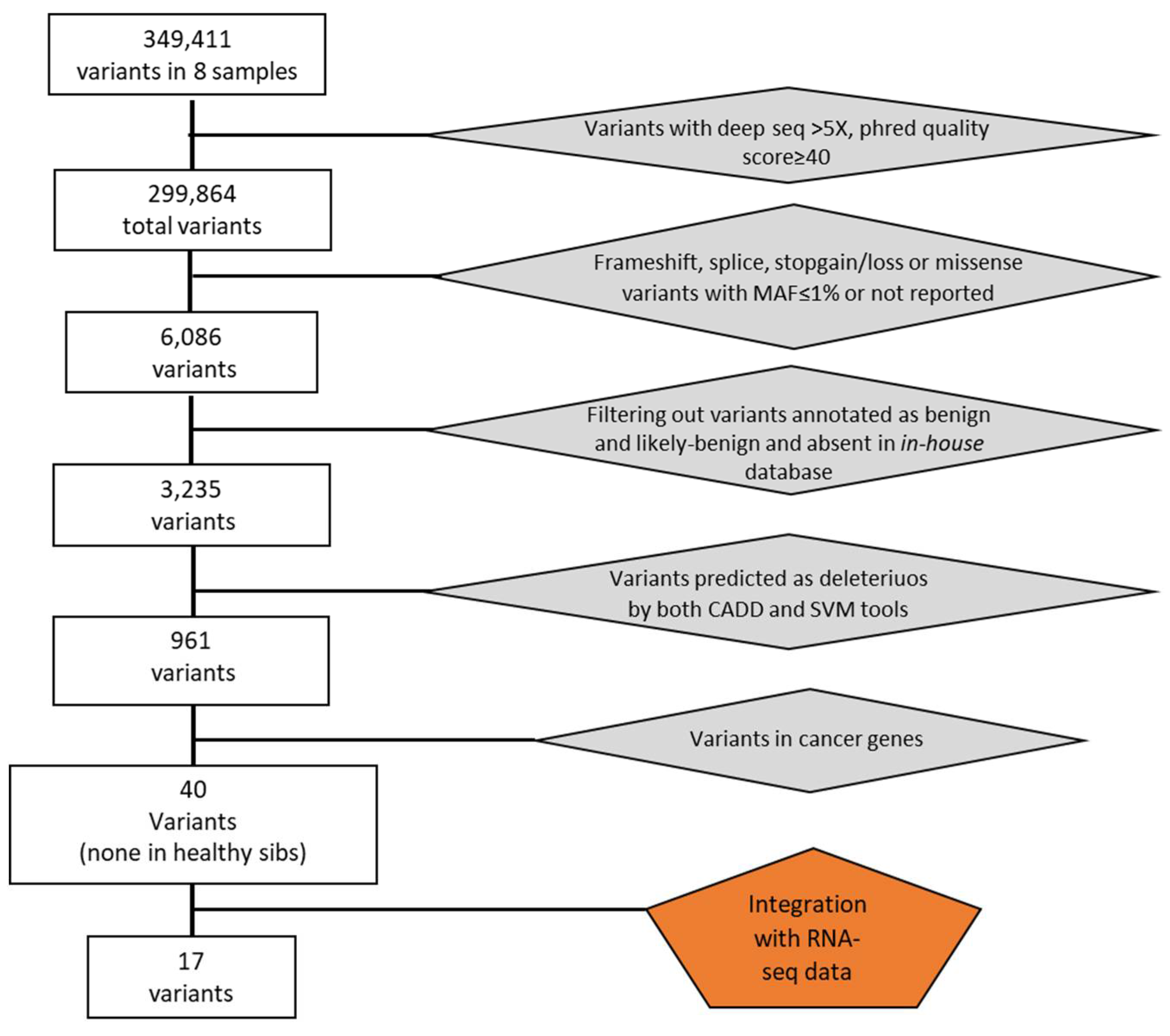 Preprints 112228 g001