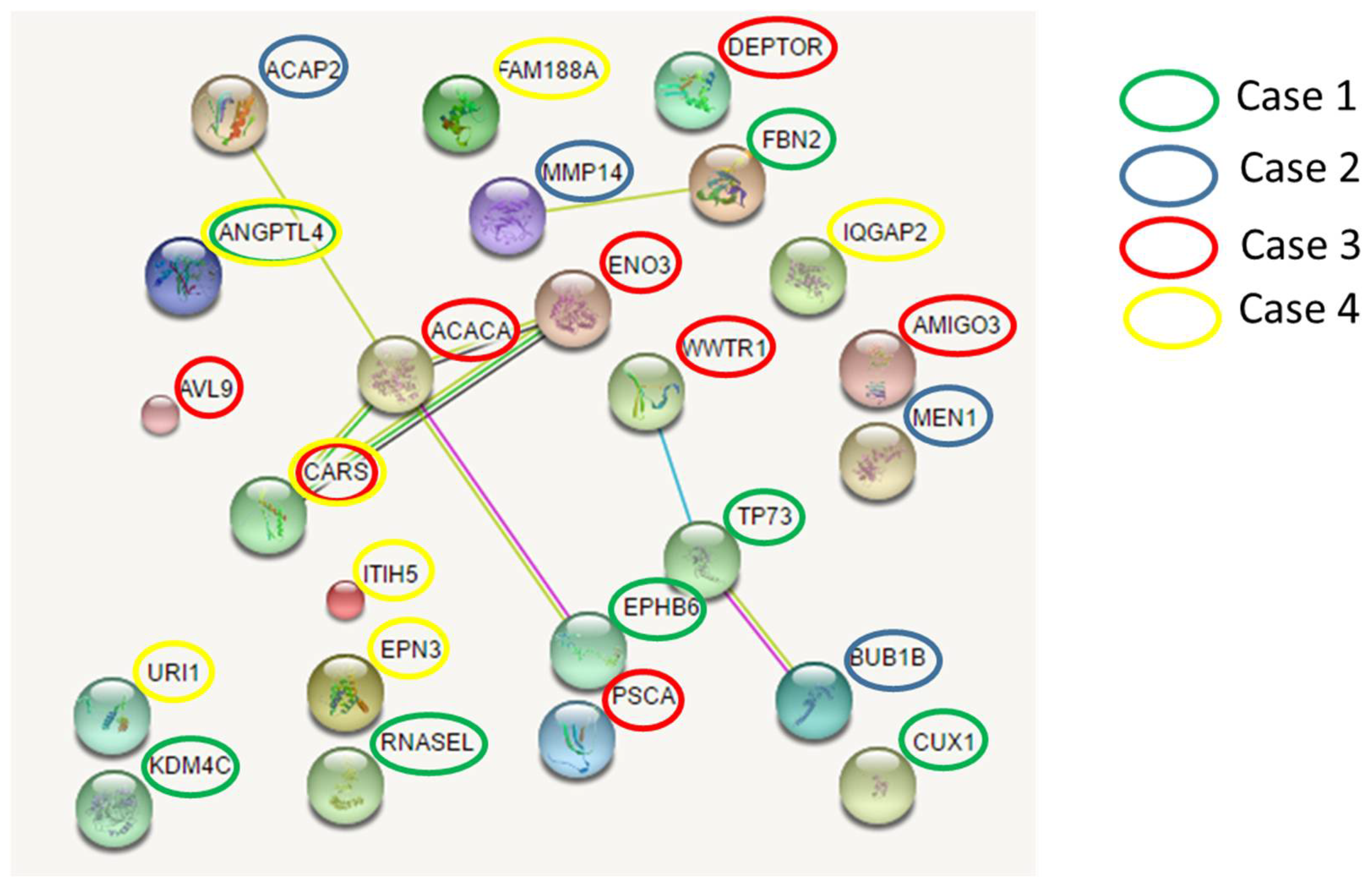 Preprints 112228 g005