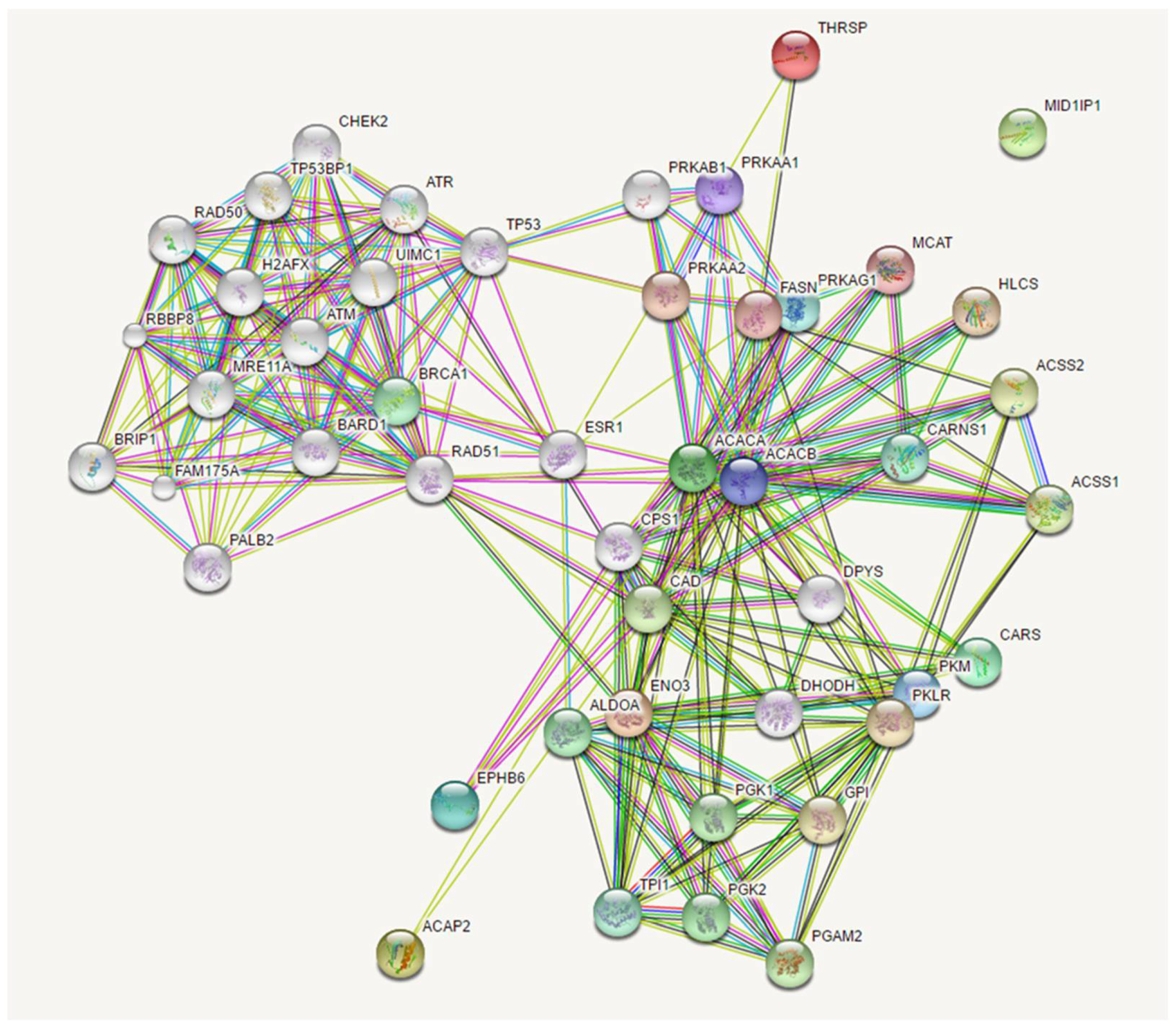 Preprints 112228 g006