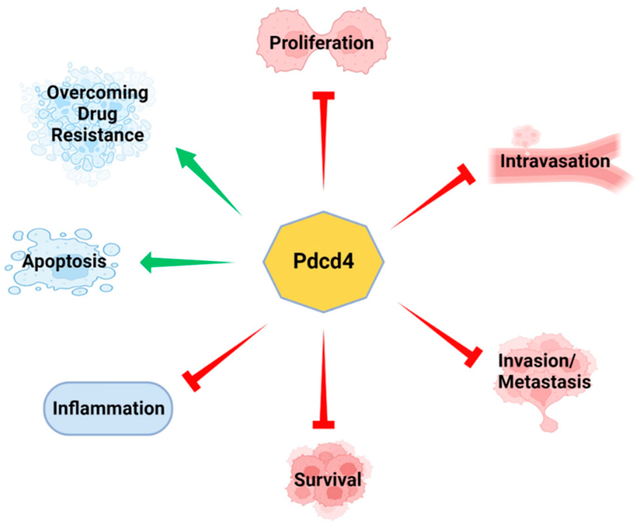 Preprints 118846 g001