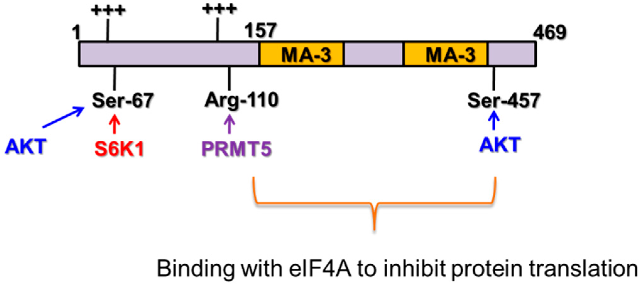 Preprints 118846 g002