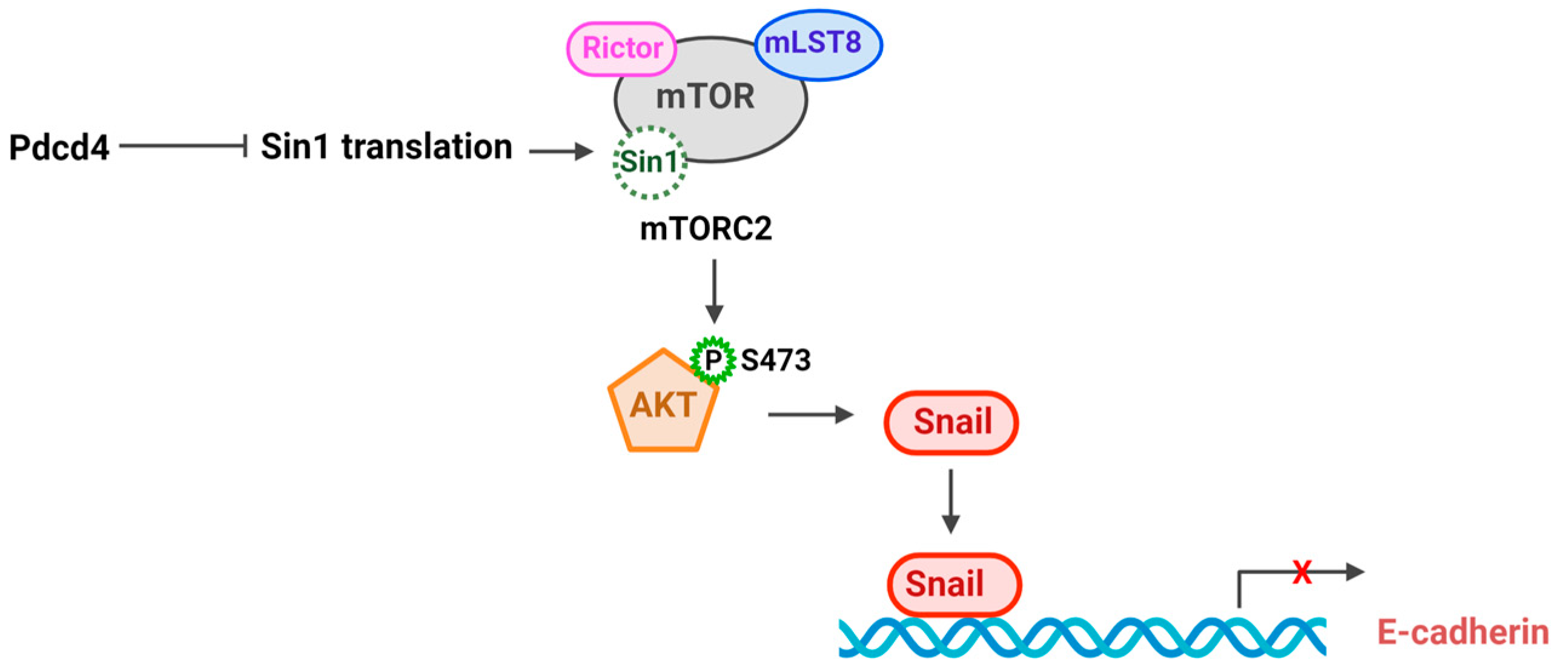 Preprints 118846 g003