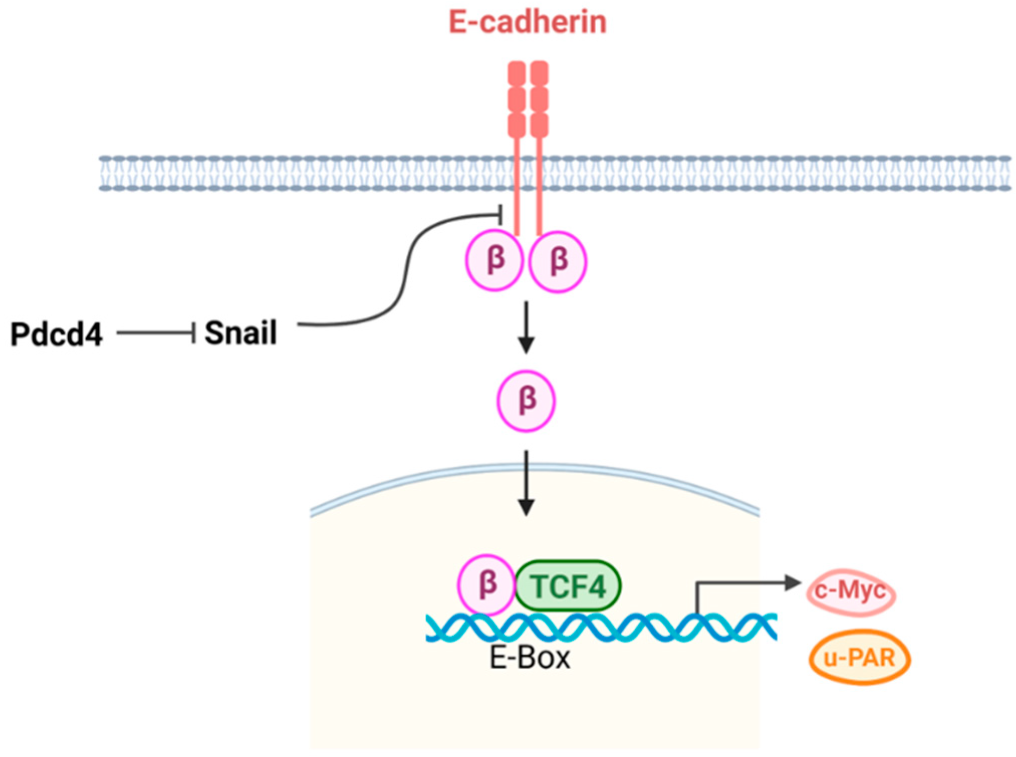 Preprints 118846 g004