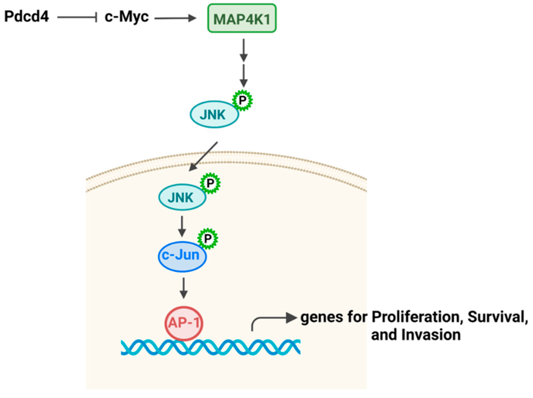 Preprints 118846 g005