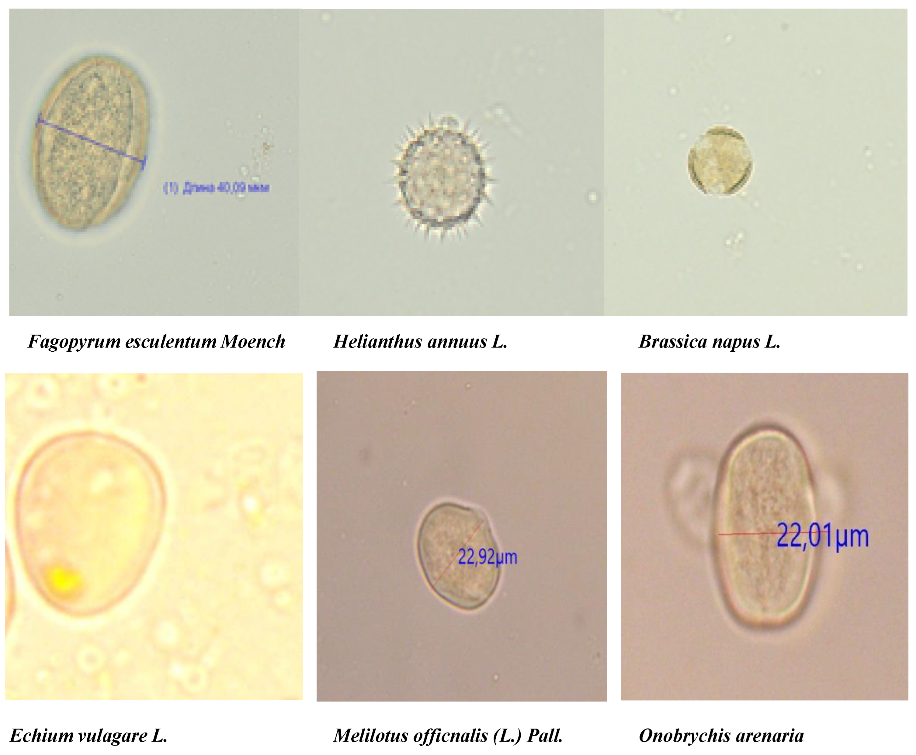 Preprints 113598 g003