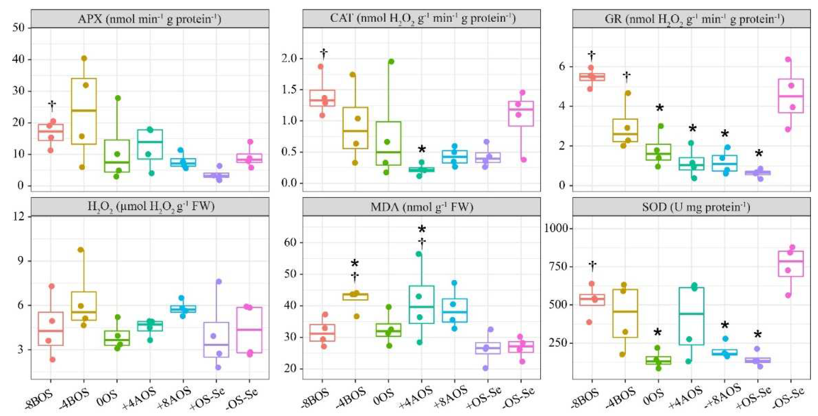 Preprints 79467 g002