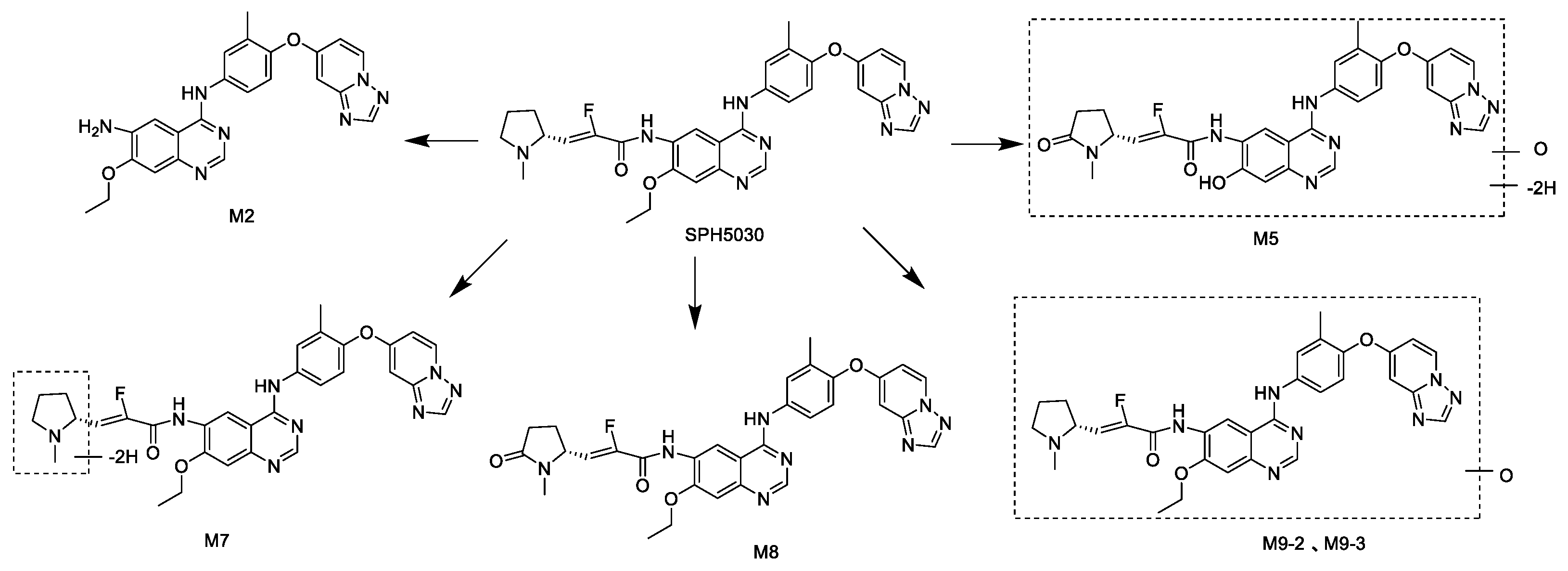 Preprints 120785 g002