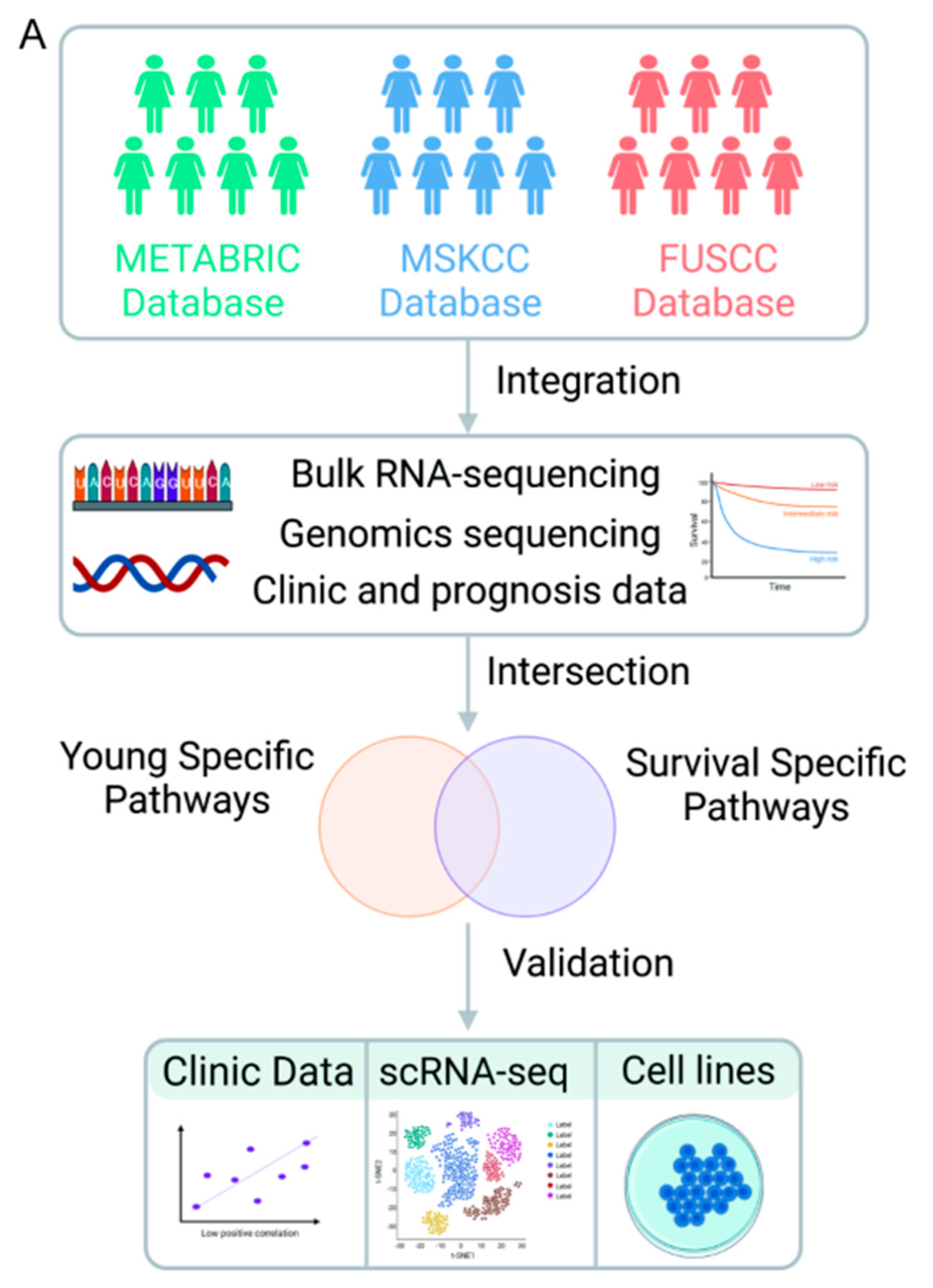 Preprints 81675 g001