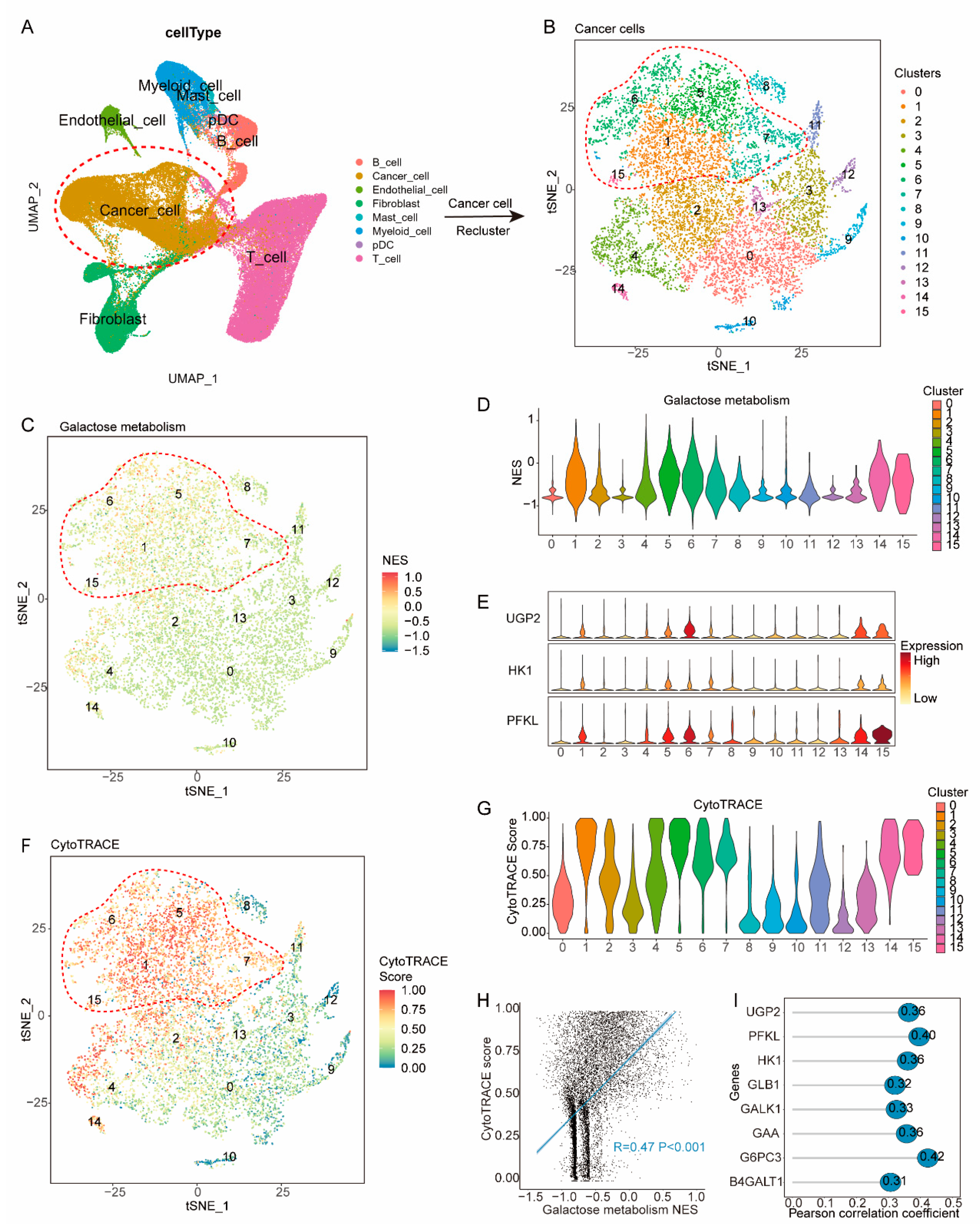 Preprints 81675 g005