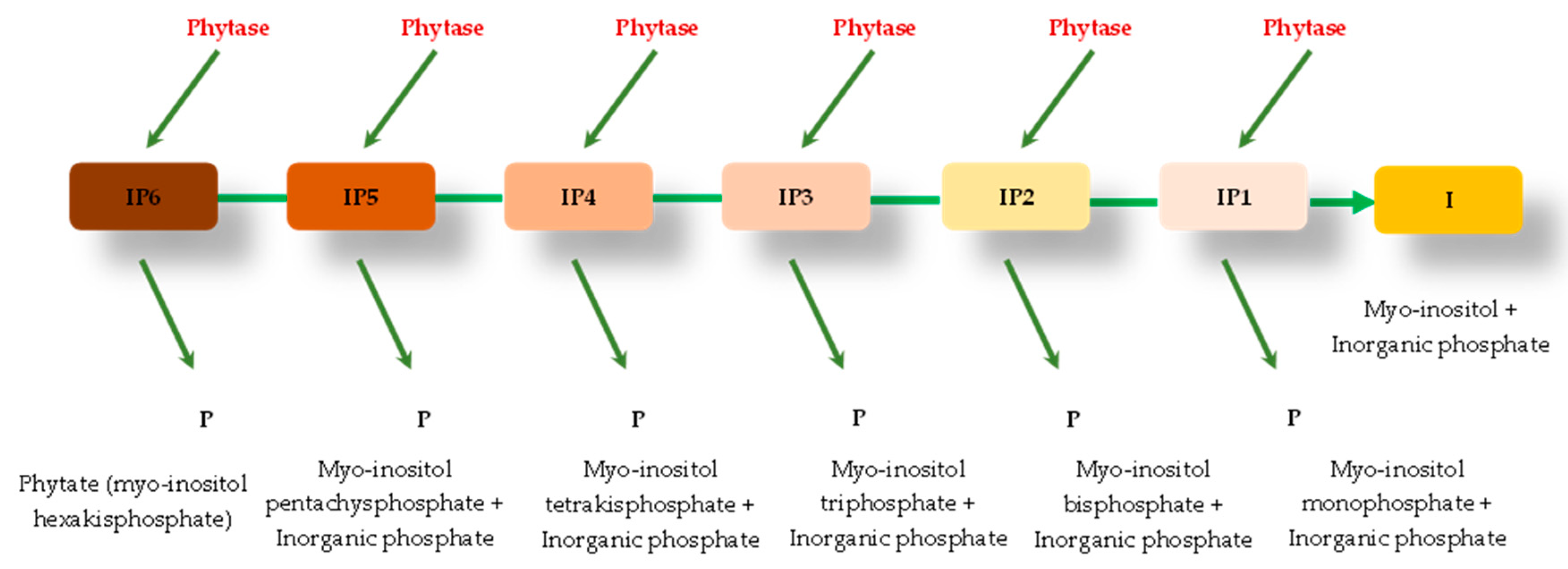 Preprints 118444 g002