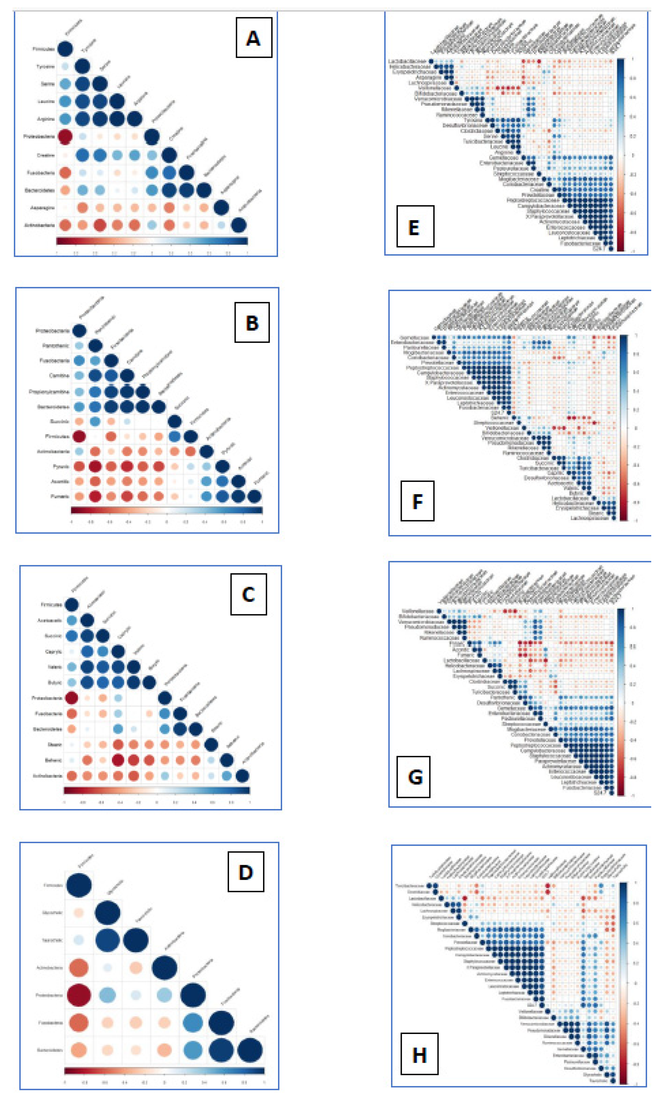 Preprints 98074 g002