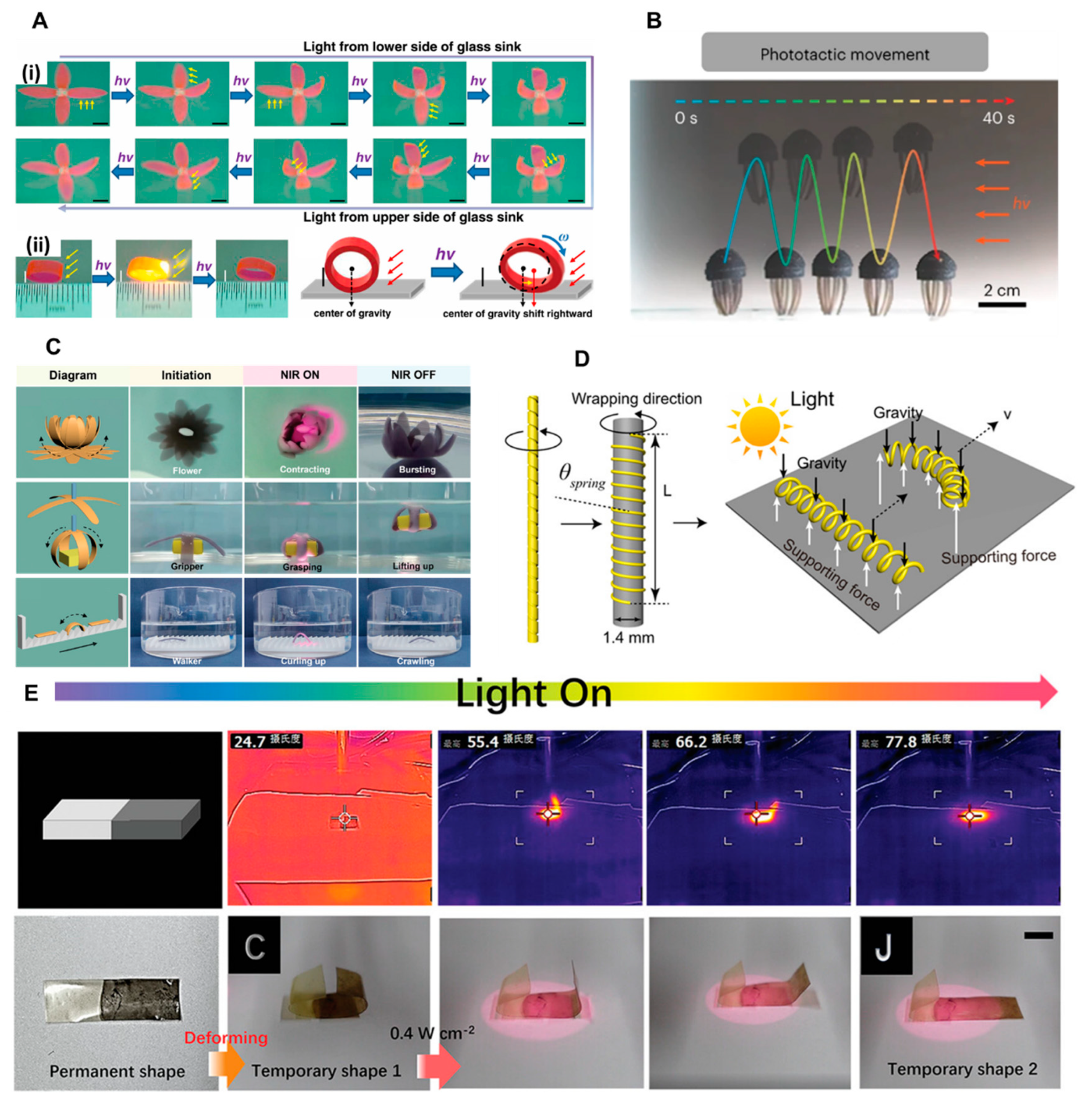 Preprints 97576 g004