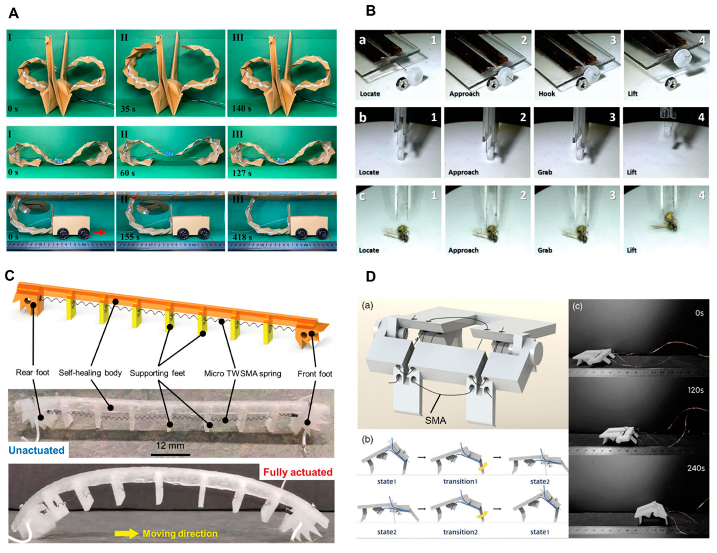 Preprints 97576 g005