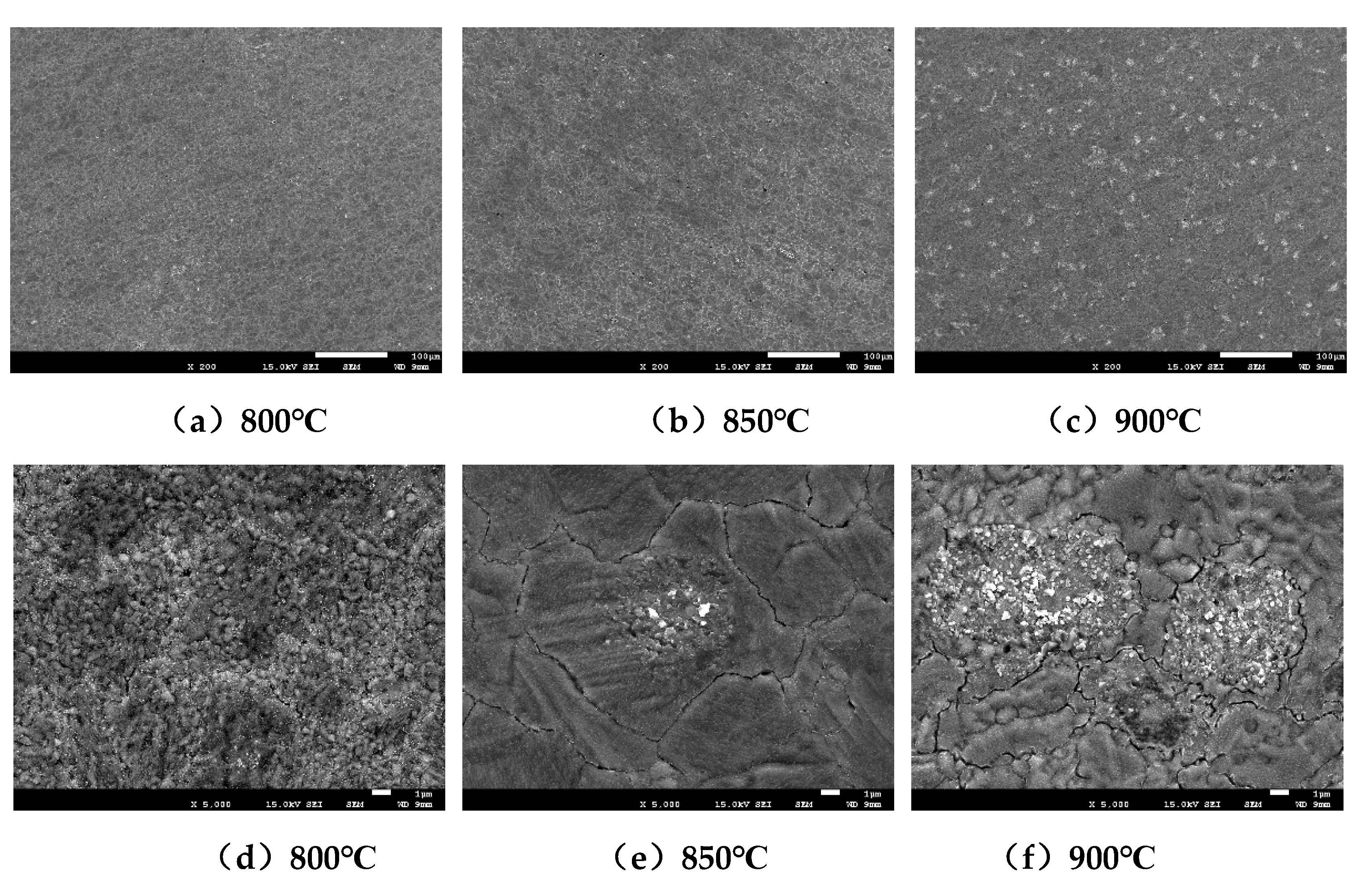 Preprints 114299 g007