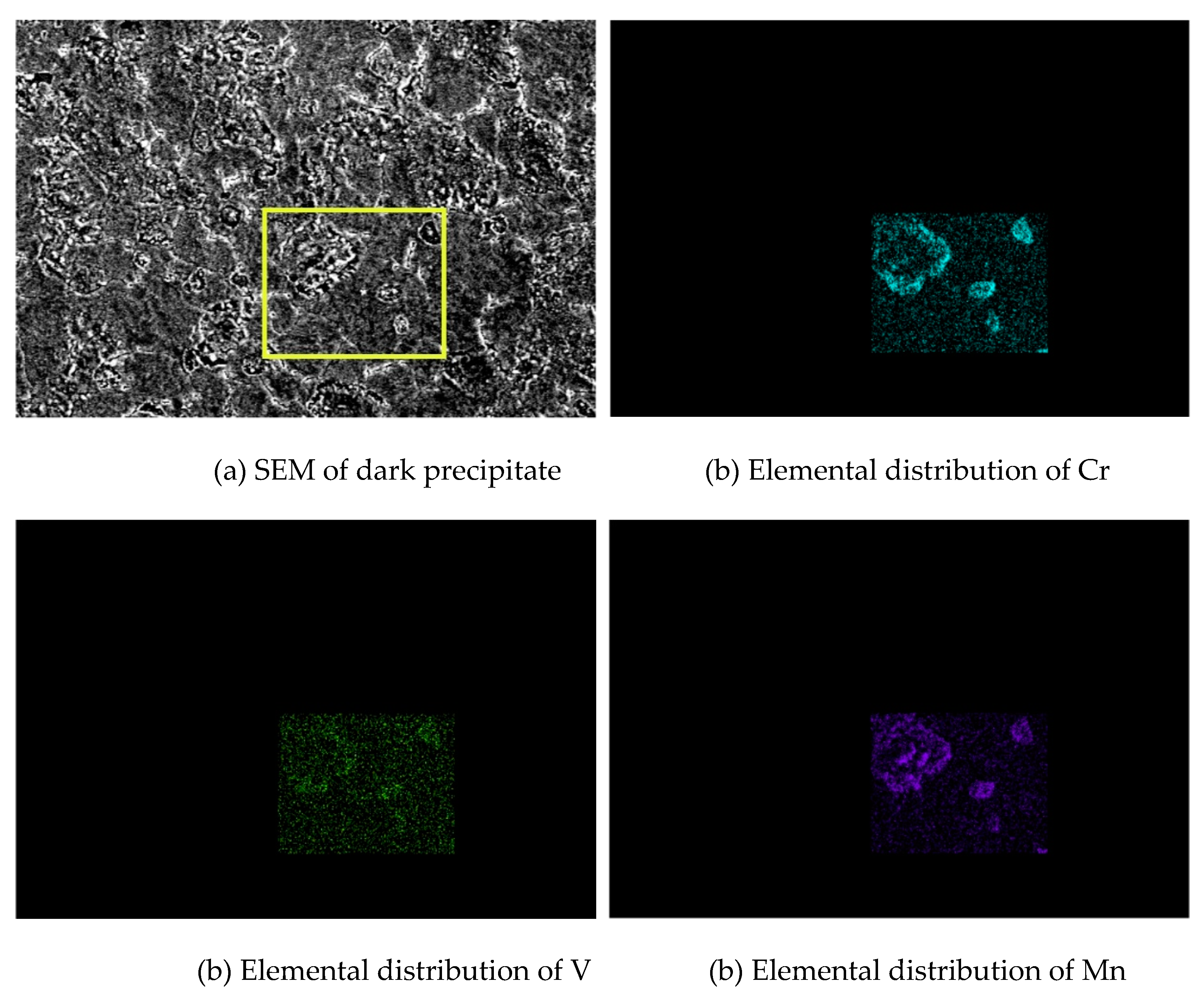 Preprints 114299 g008