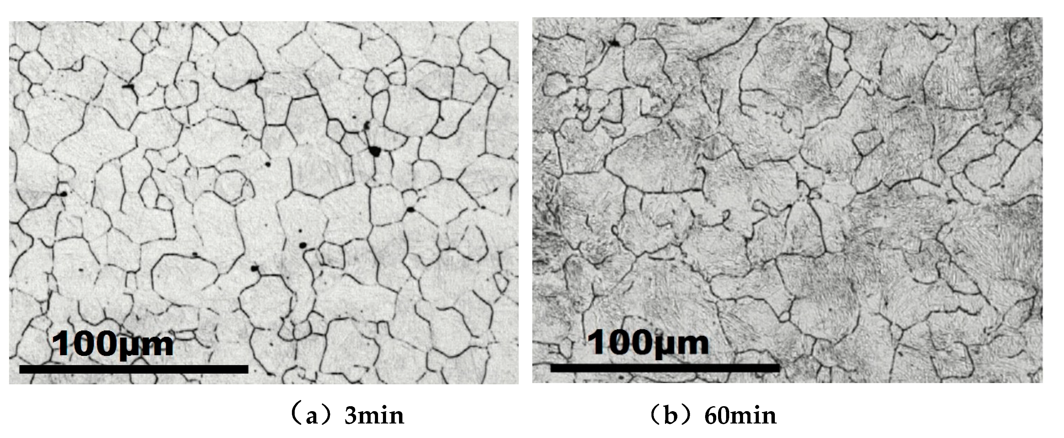 Preprints 114299 g014