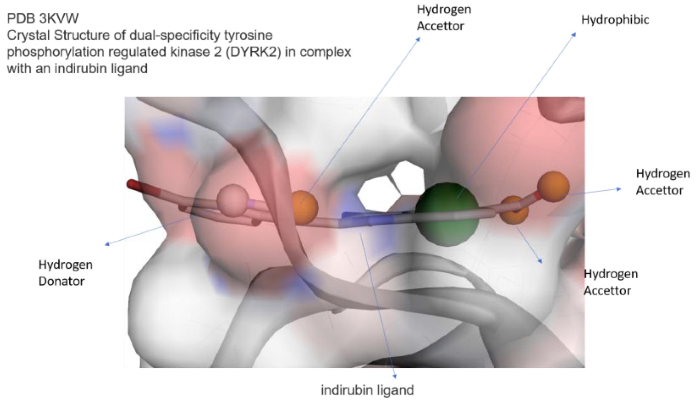 Preprints 116918 g001