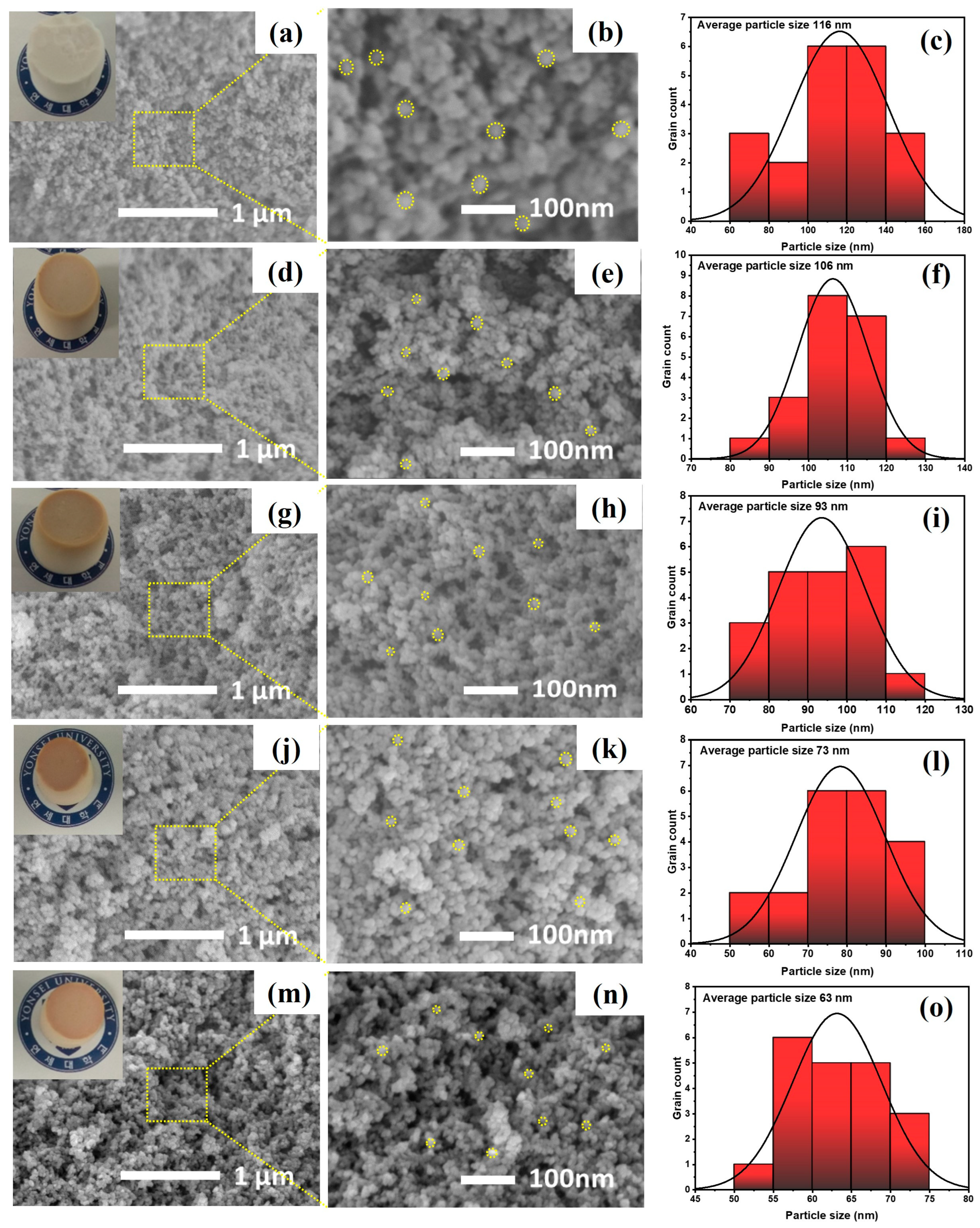 Preprints 79936 g004