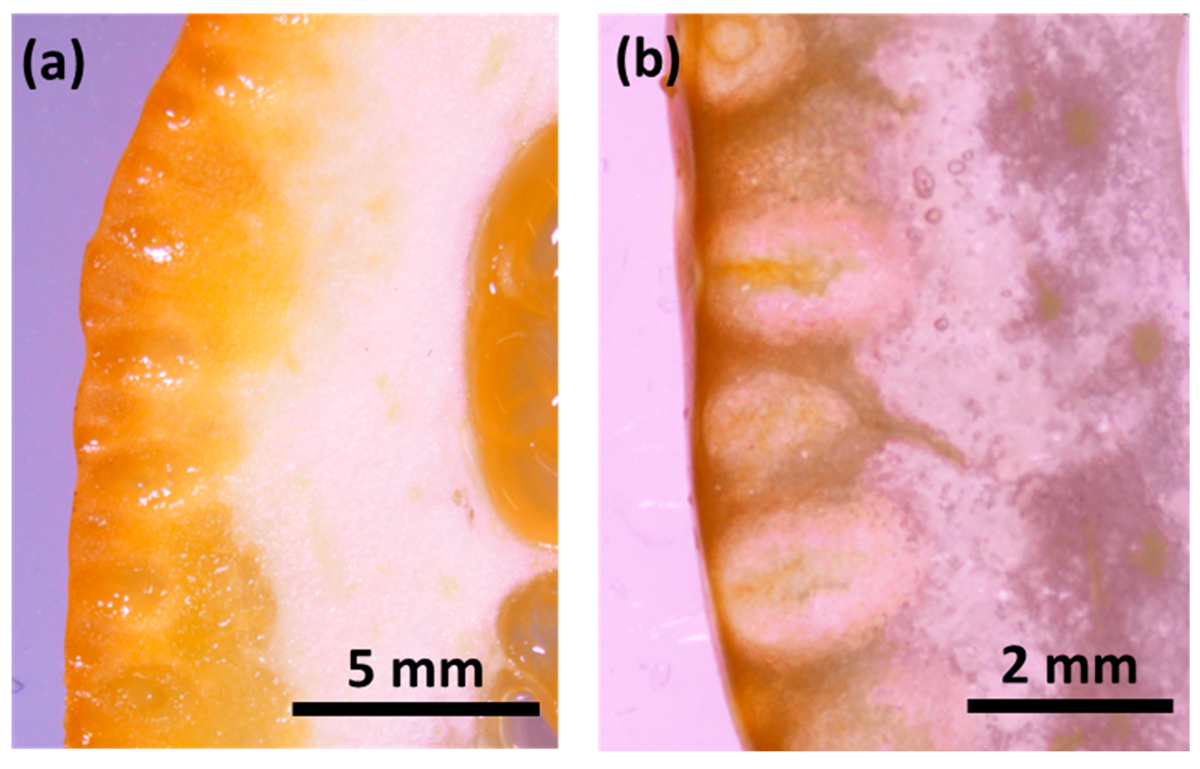 Preprints 96754 g002