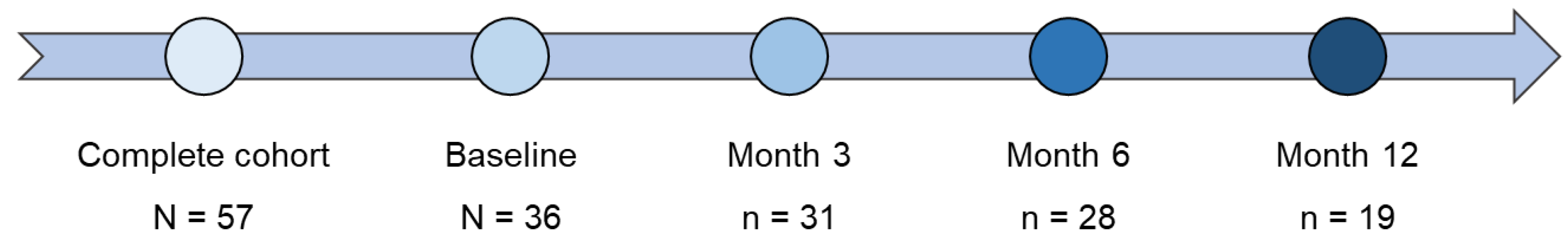 Preprints 87372 g001