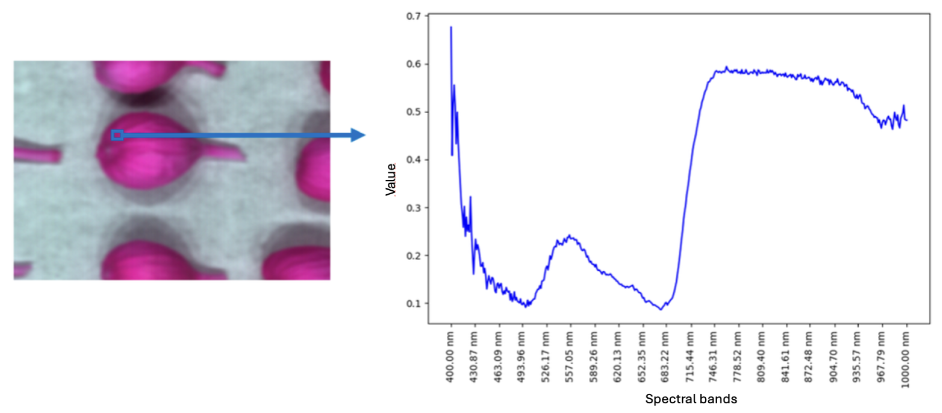 Preprints 118466 g003