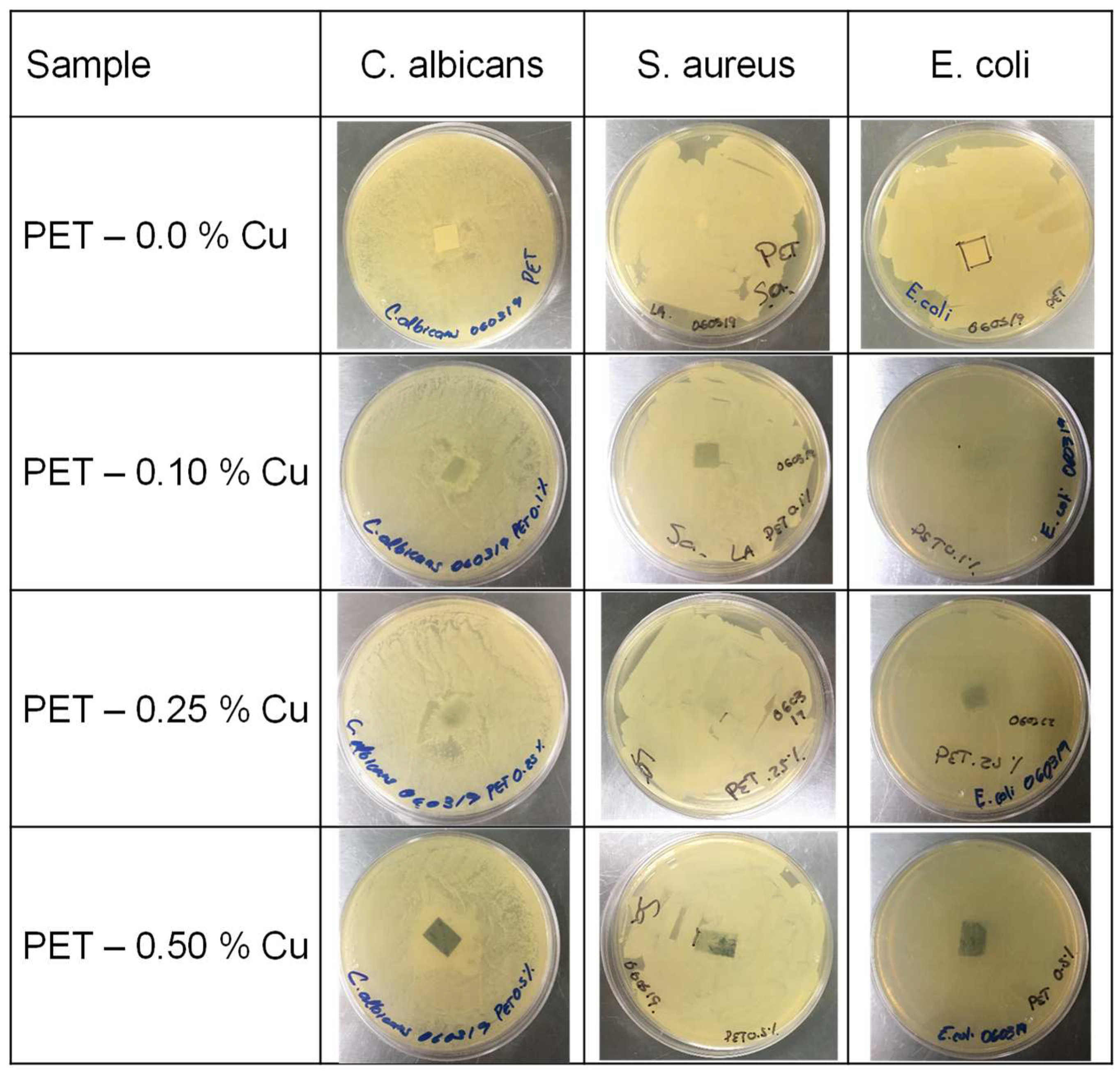 Preprints 89638 g008