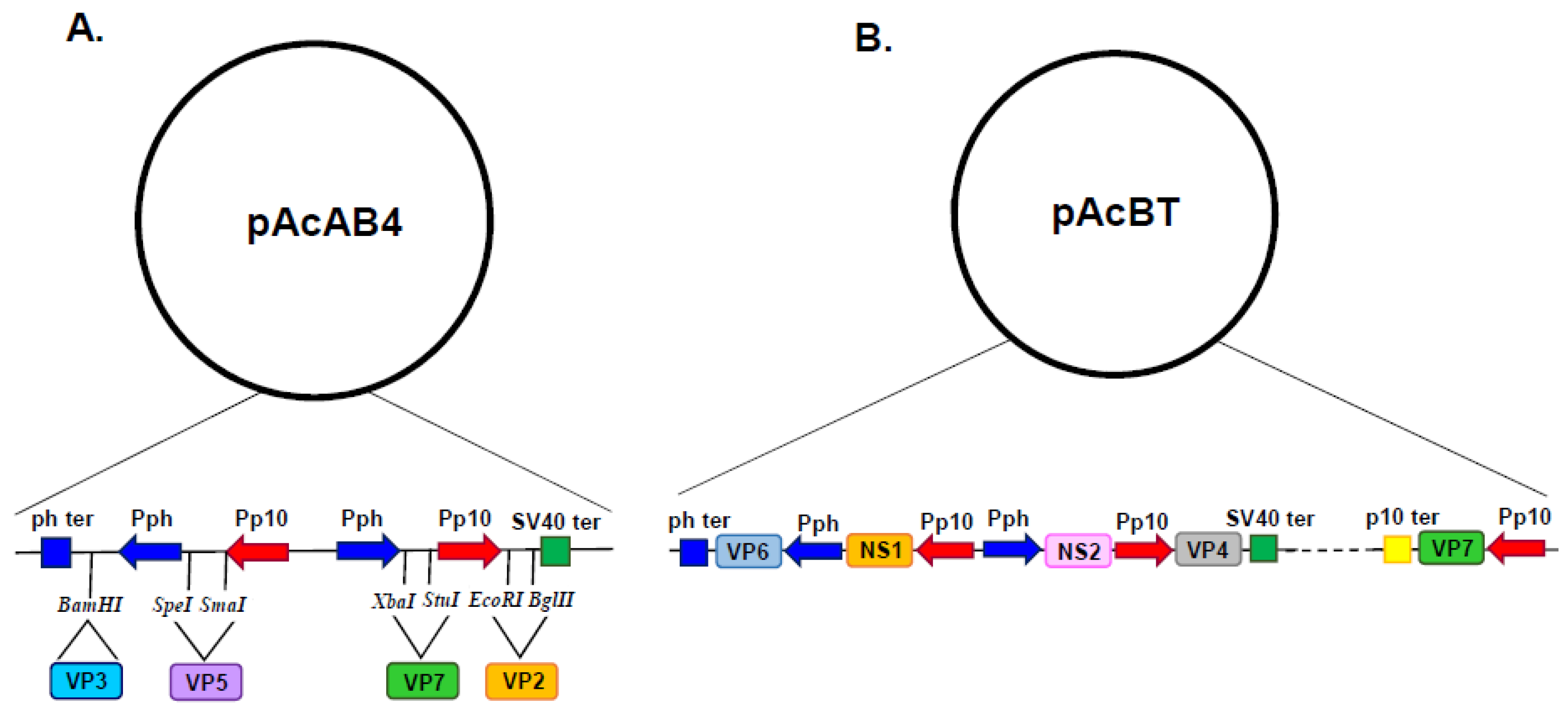 Preprints 98699 g002