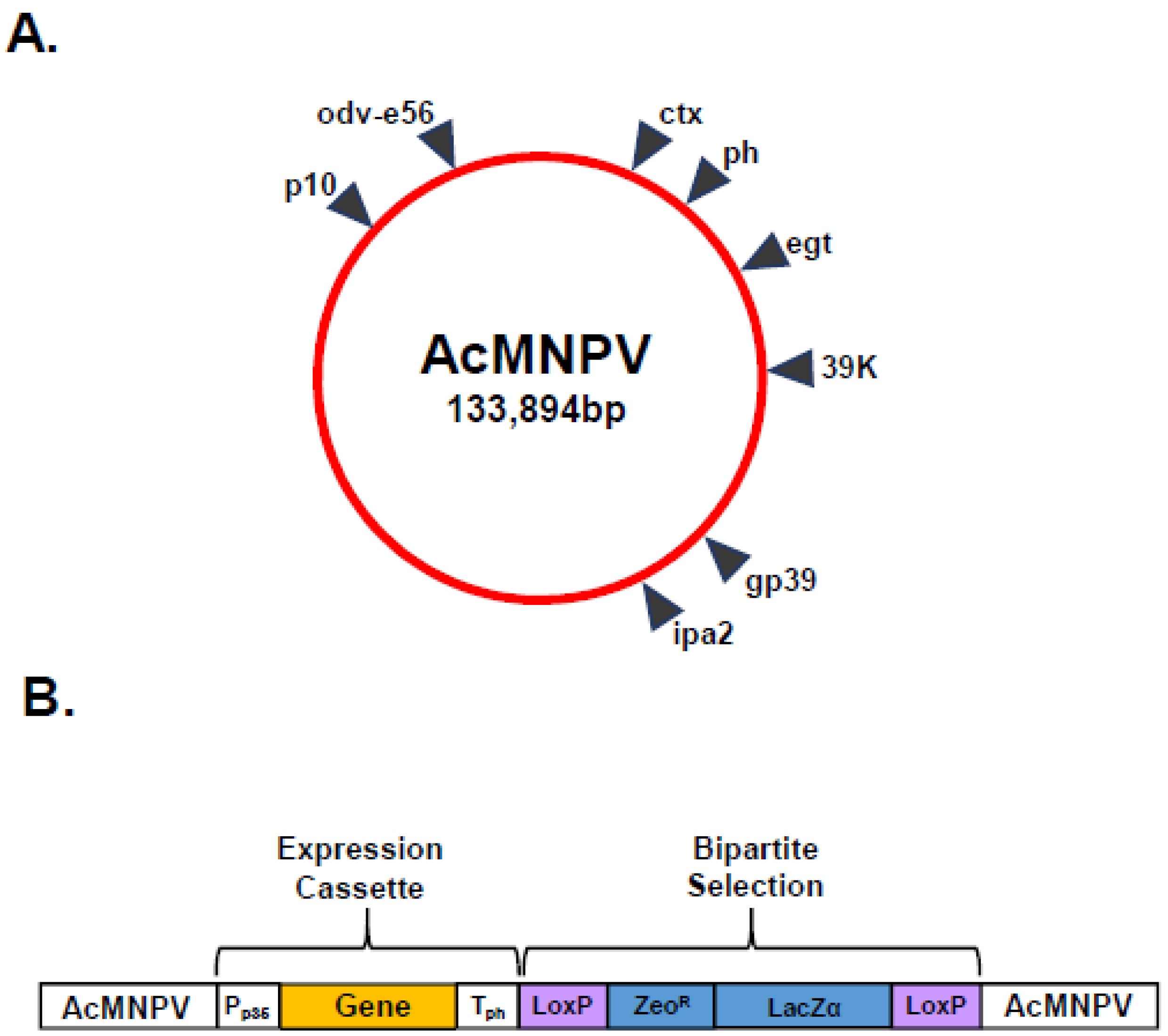 Preprints 98699 g003