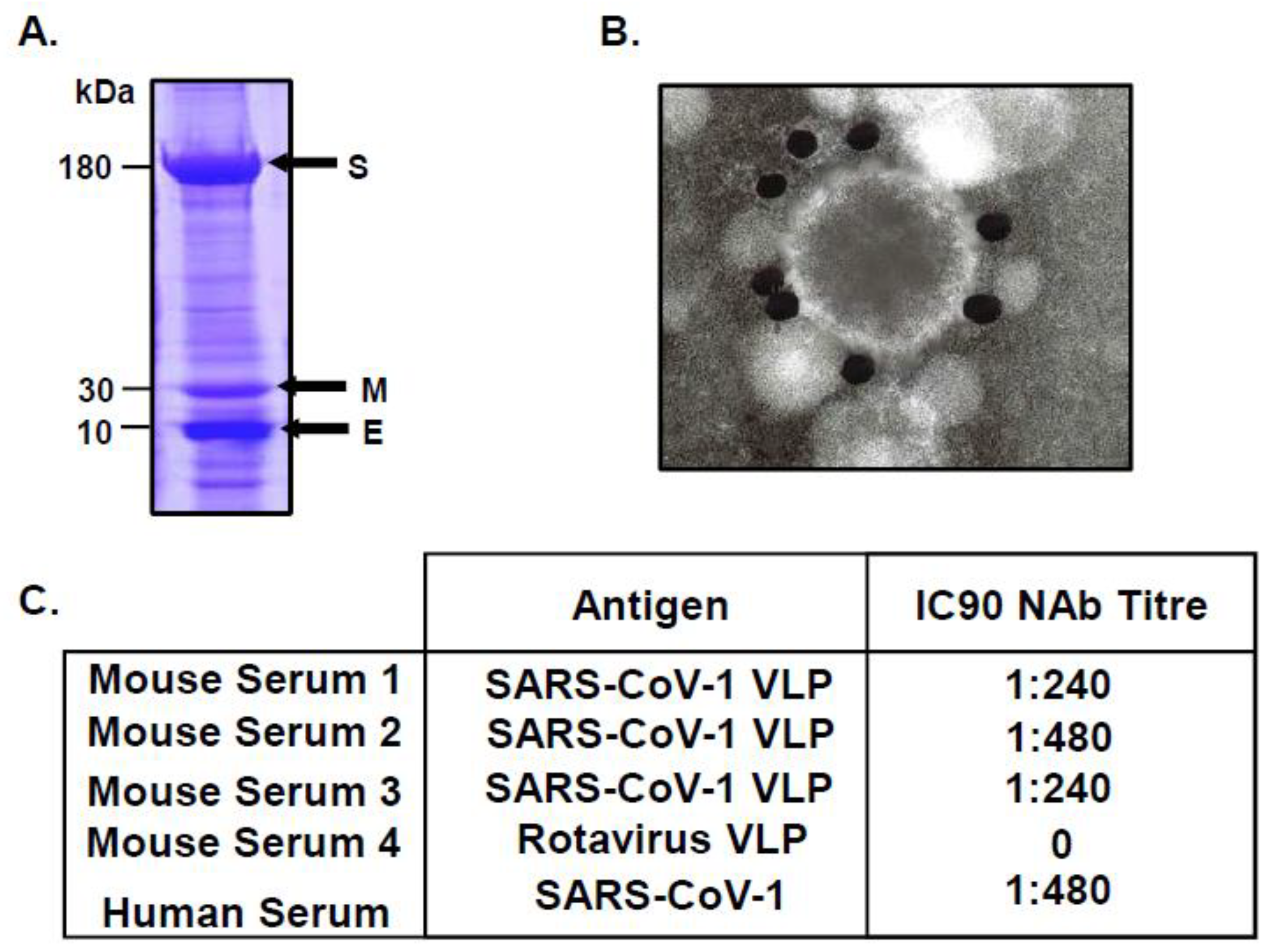 Preprints 98699 g007