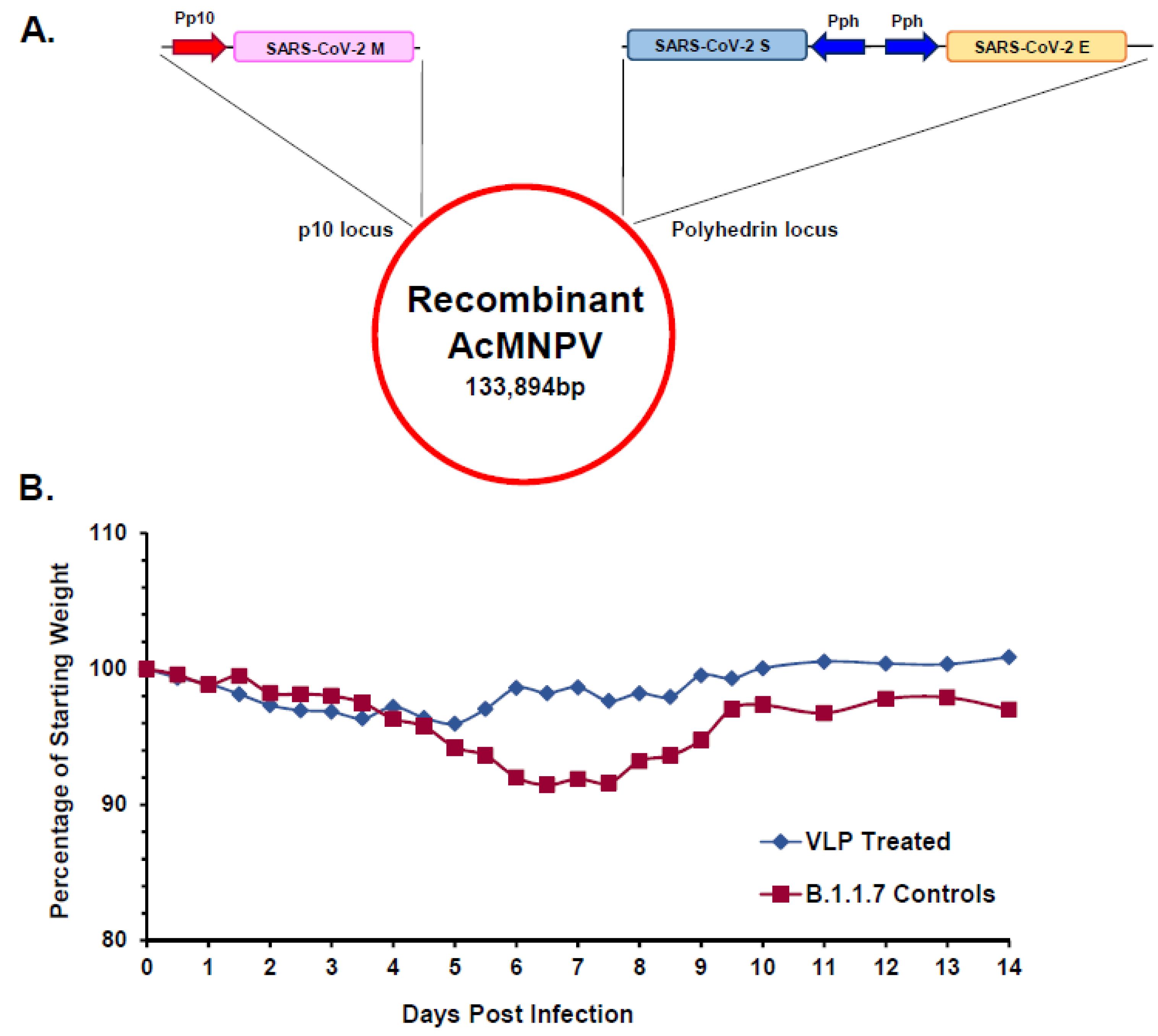 Preprints 98699 g008