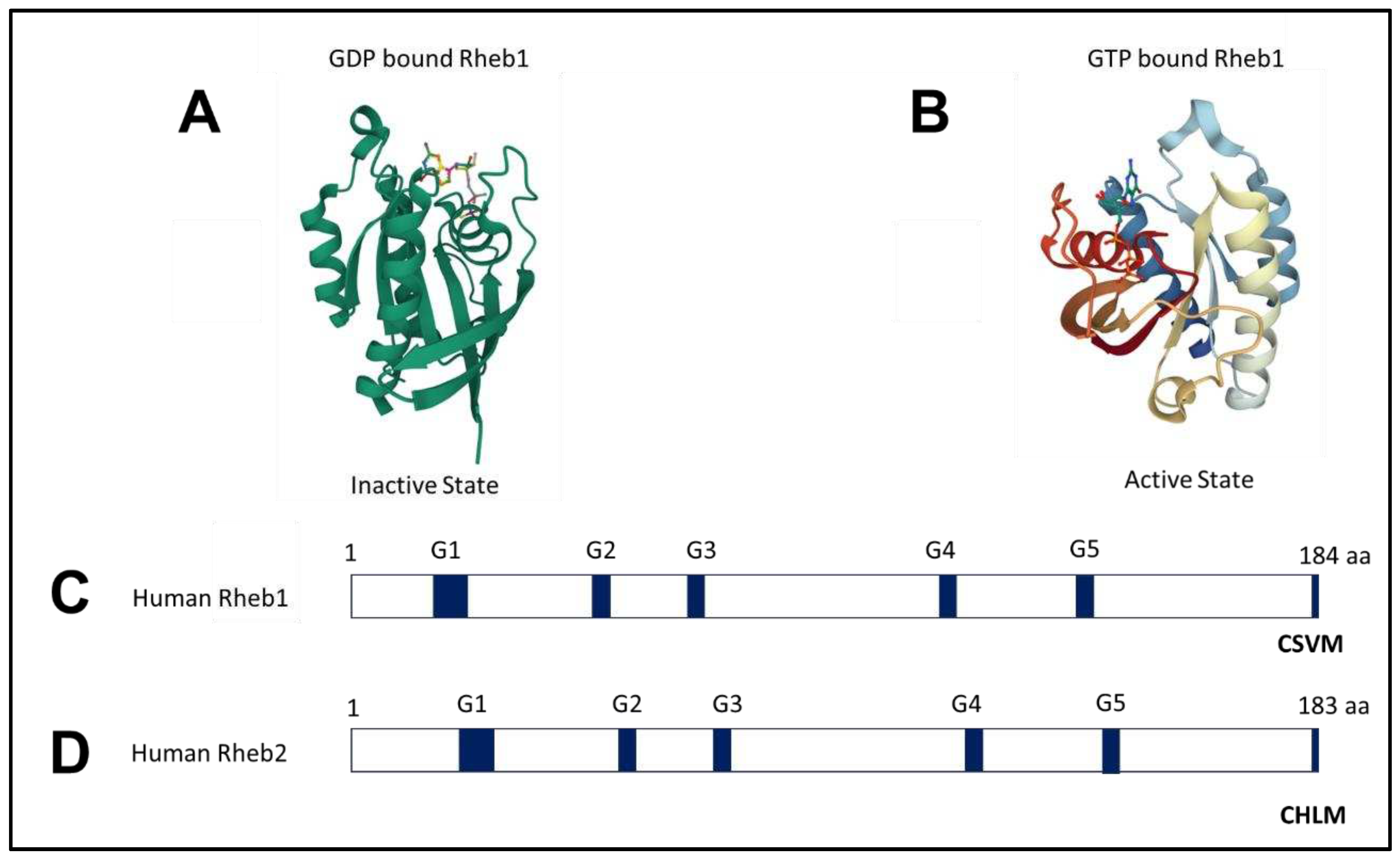 Preprints 93765 g001