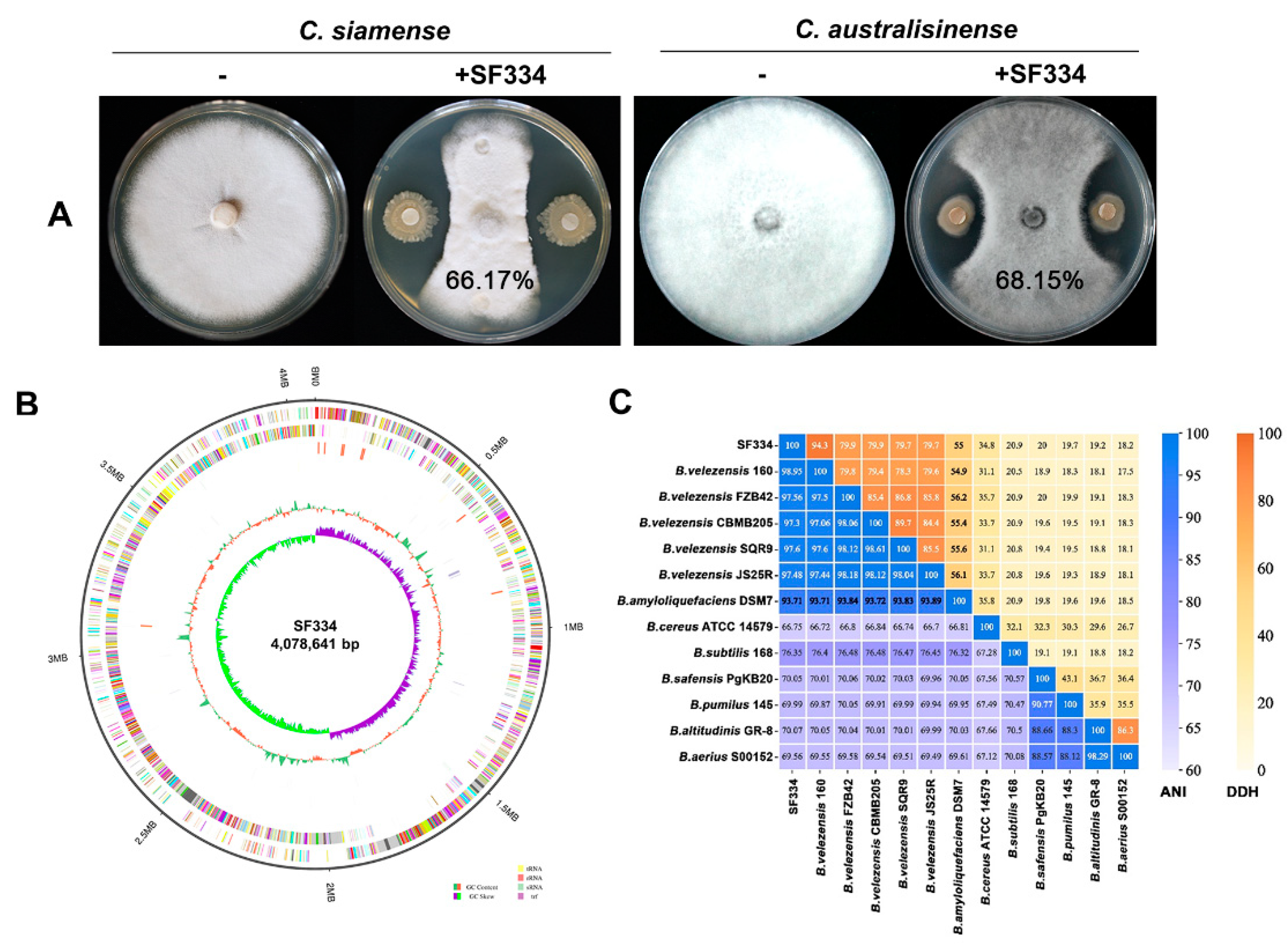 Preprints 97224 g001