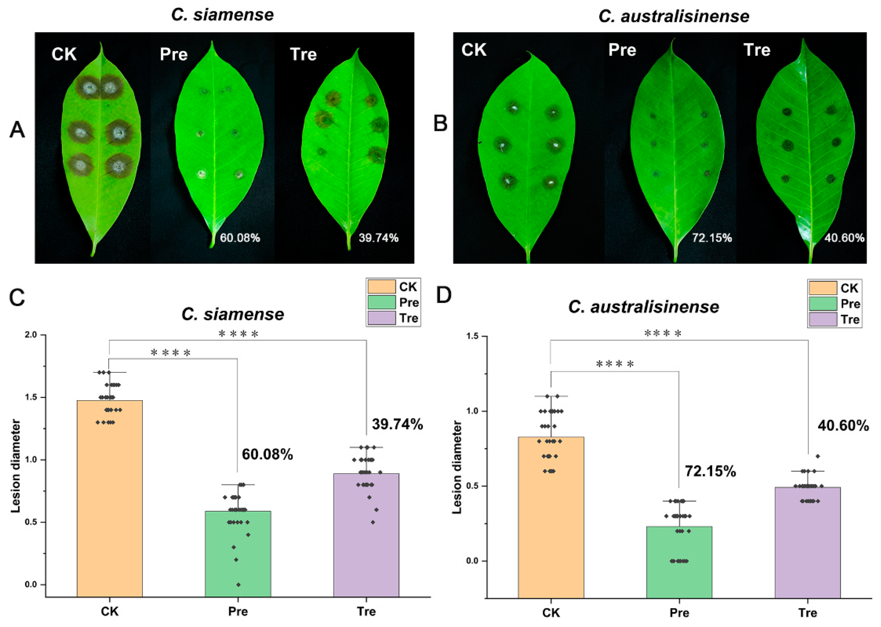 Preprints 97224 g002