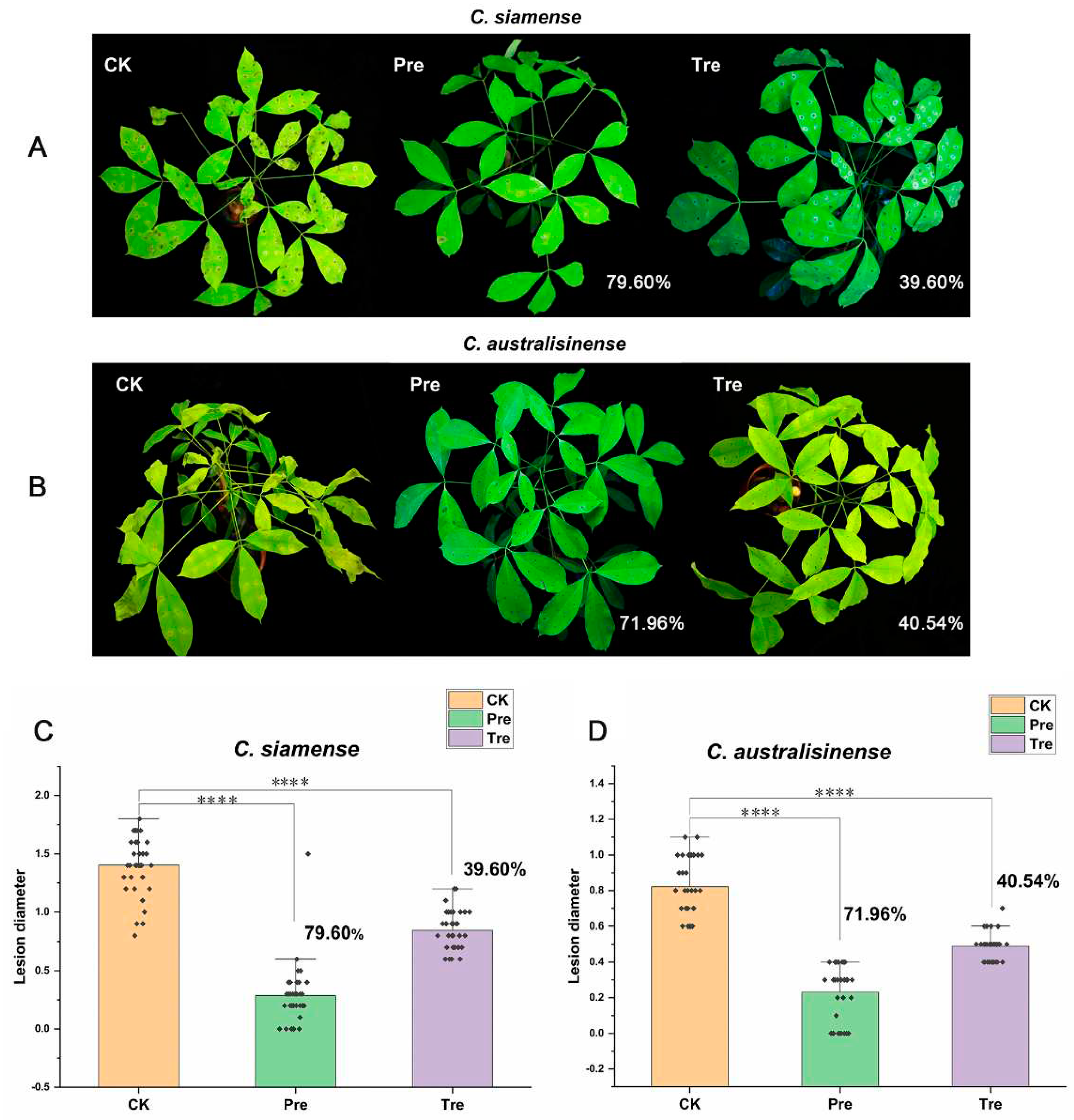 Preprints 97224 g003