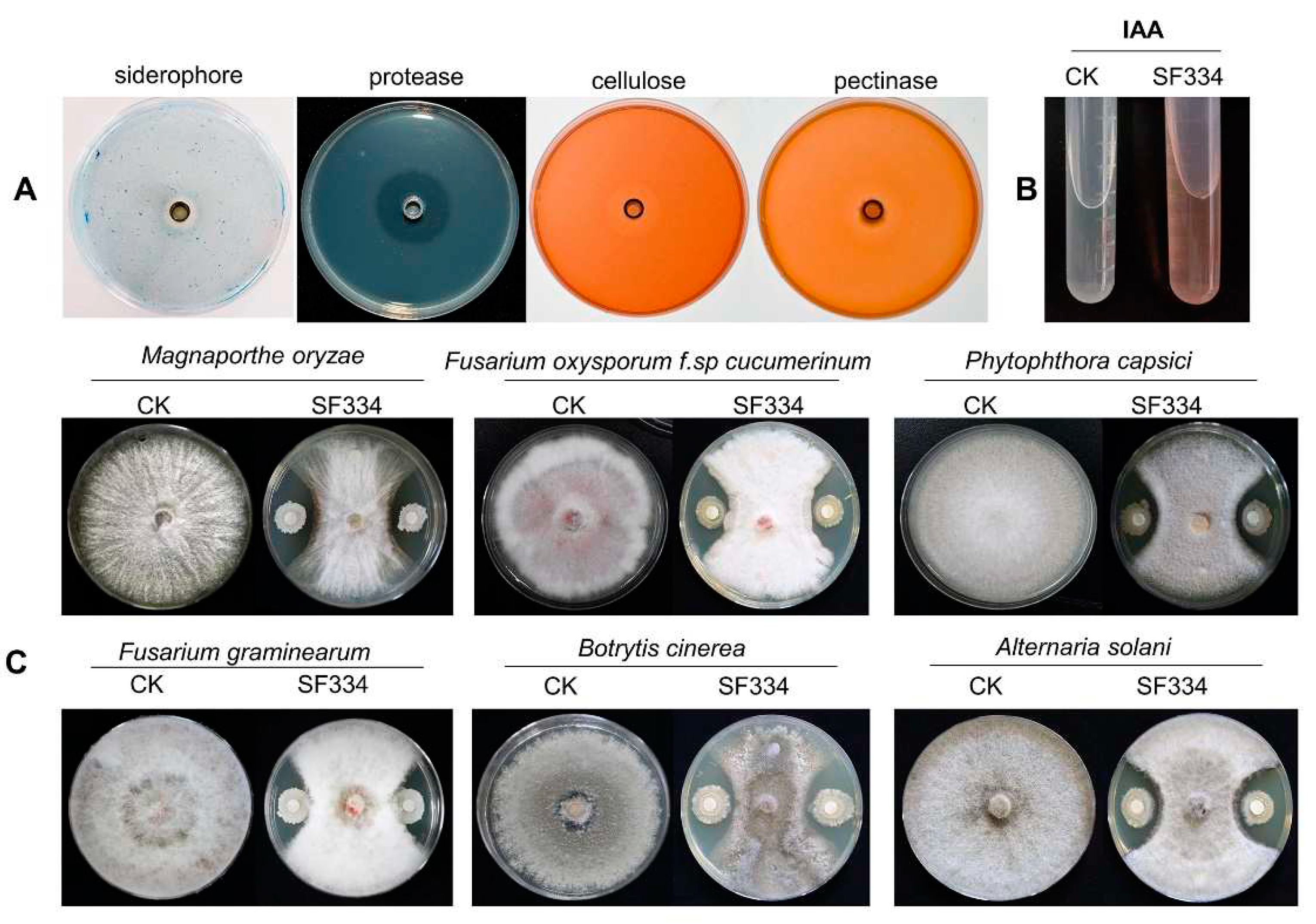 Preprints 97224 g007