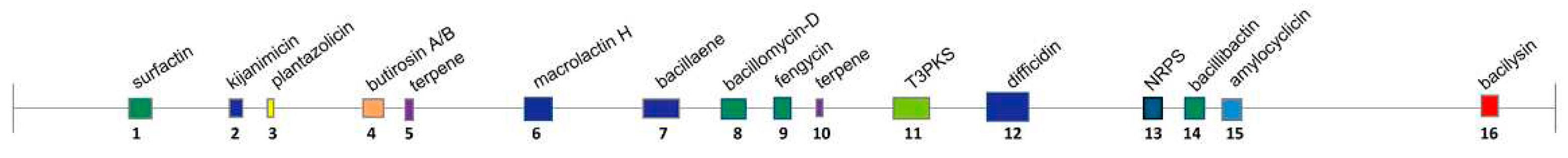 Preprints 97224 g008