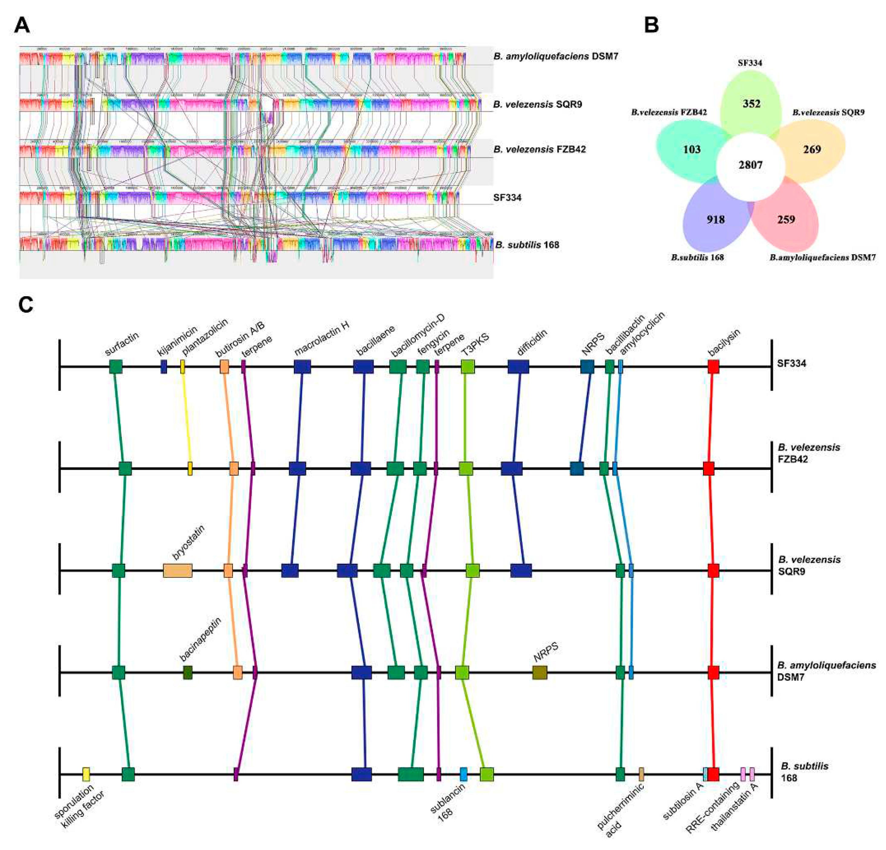 Preprints 97224 g009