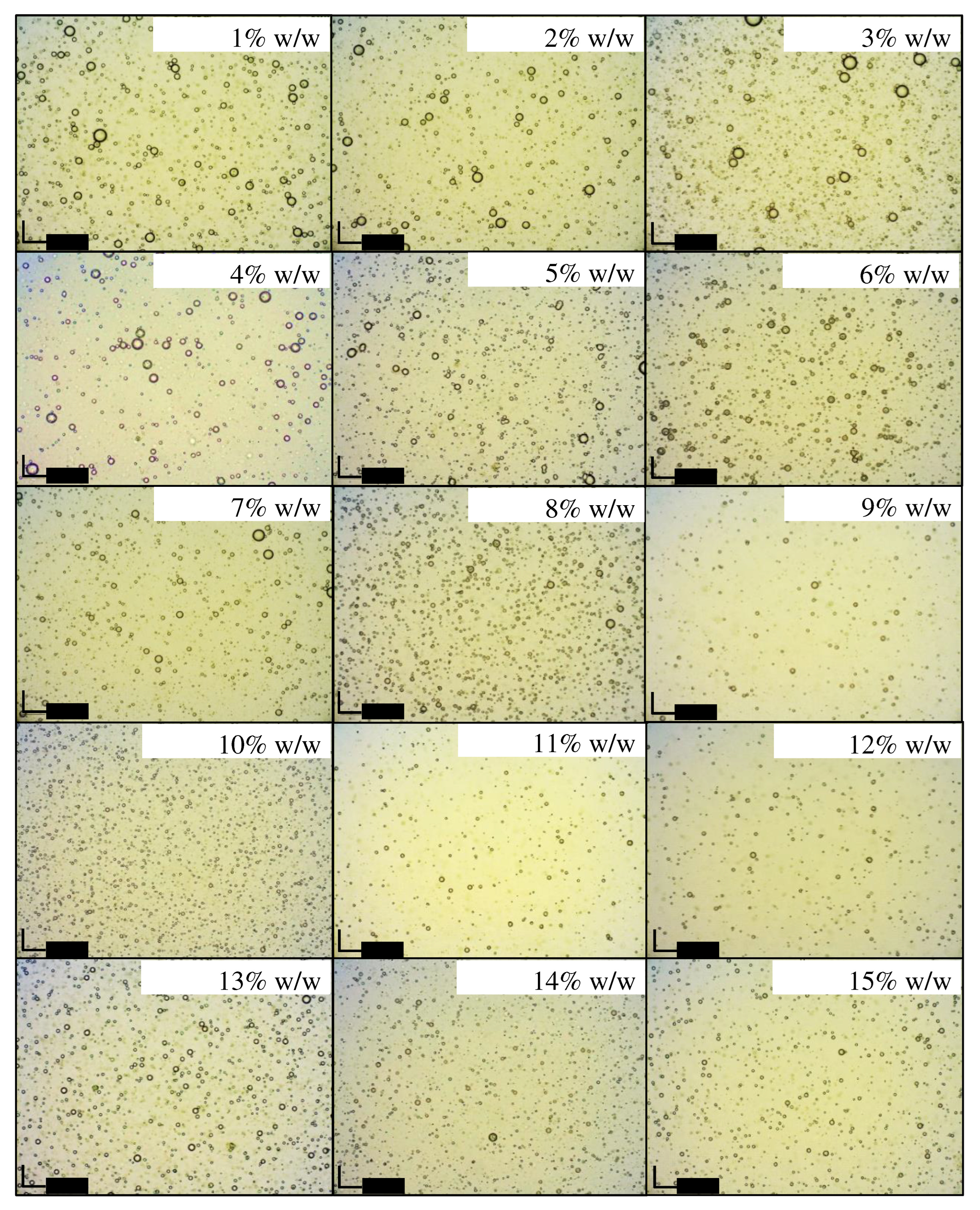 Preprints 97823 g008