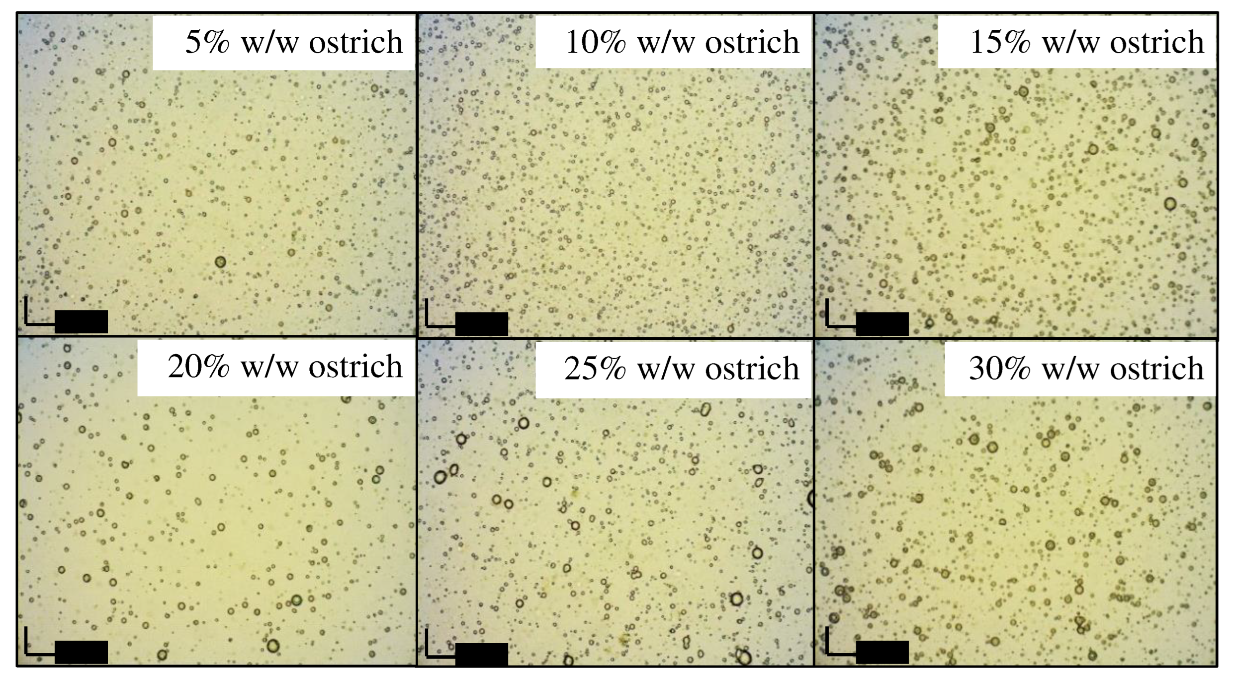 Preprints 97823 g009