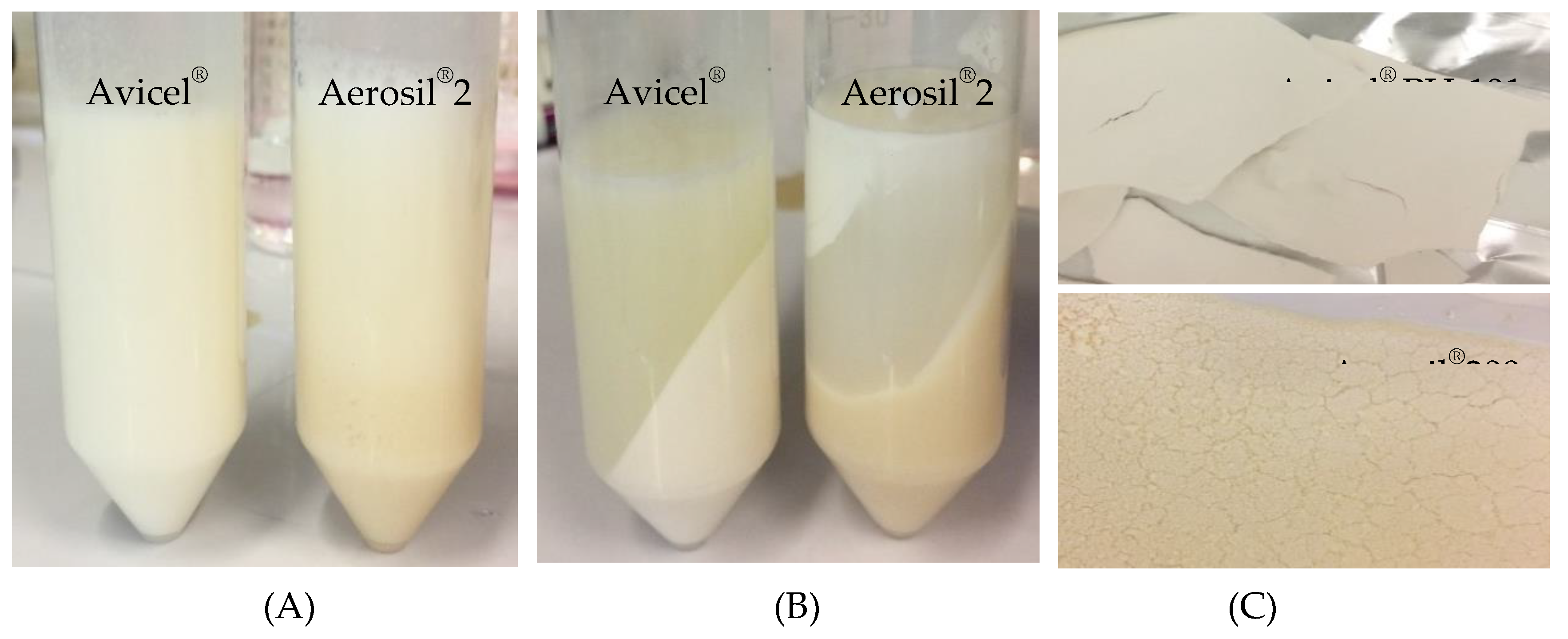 Preprints 97823 g013