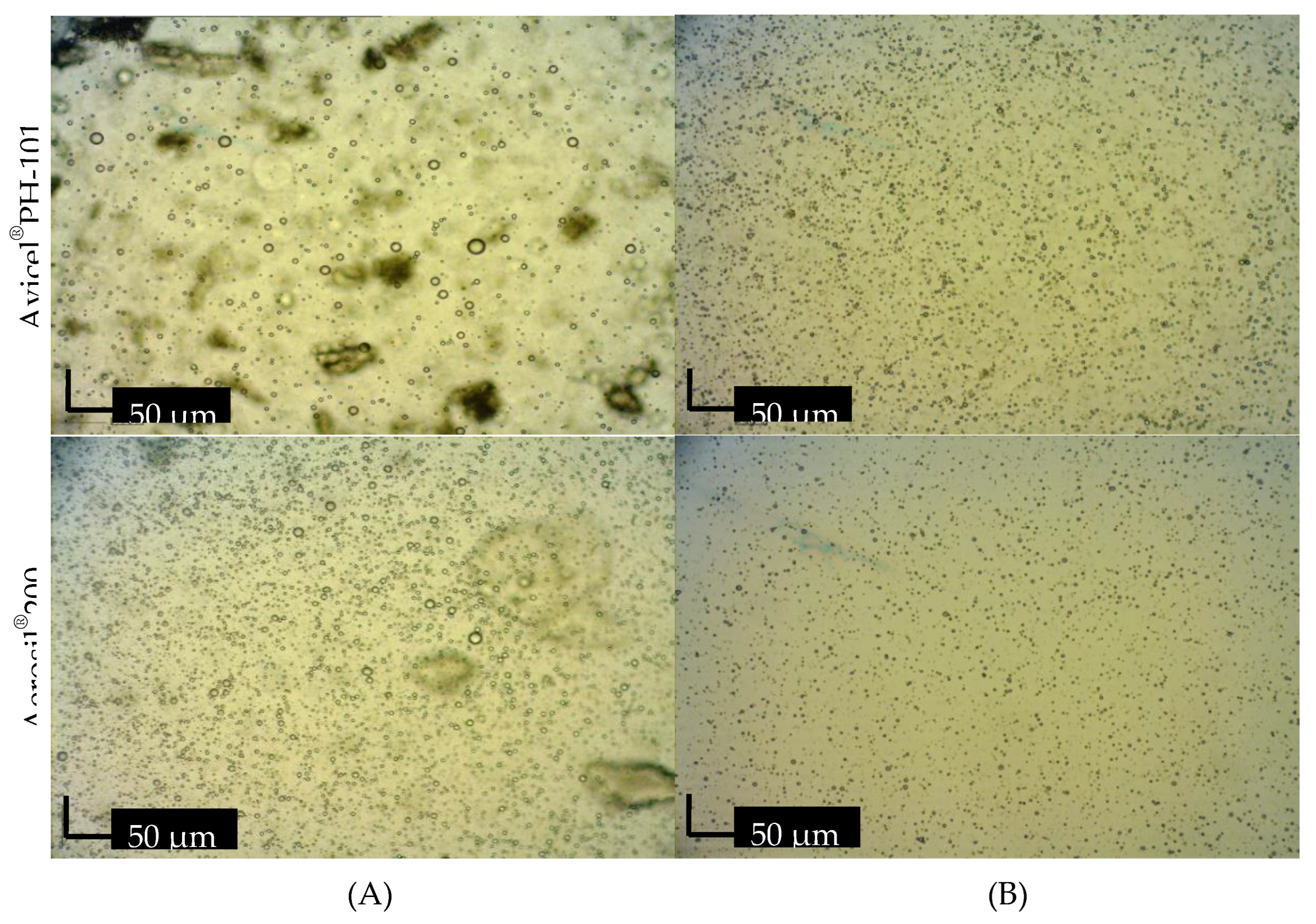 Preprints 97823 g014