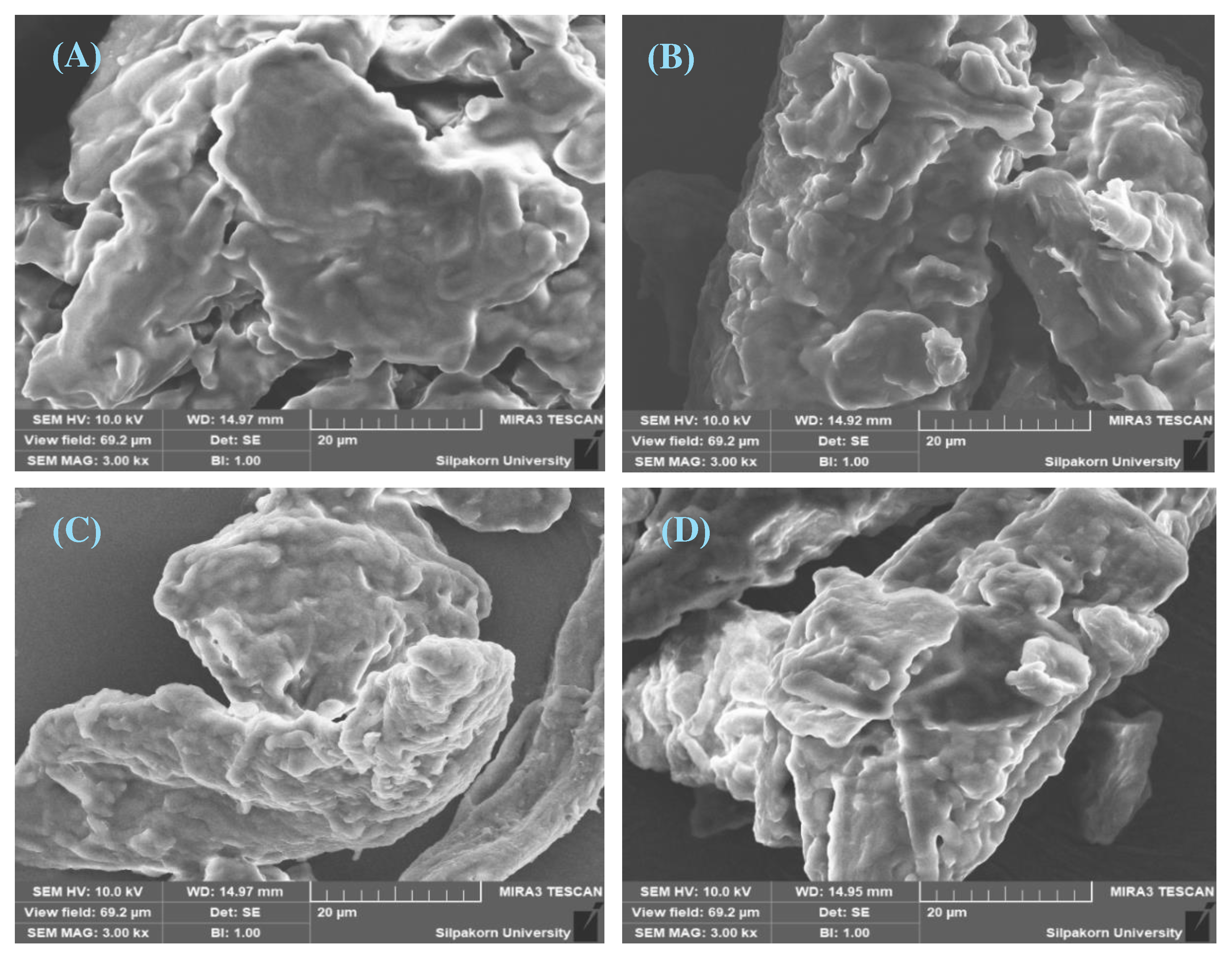 Preprints 97823 g020