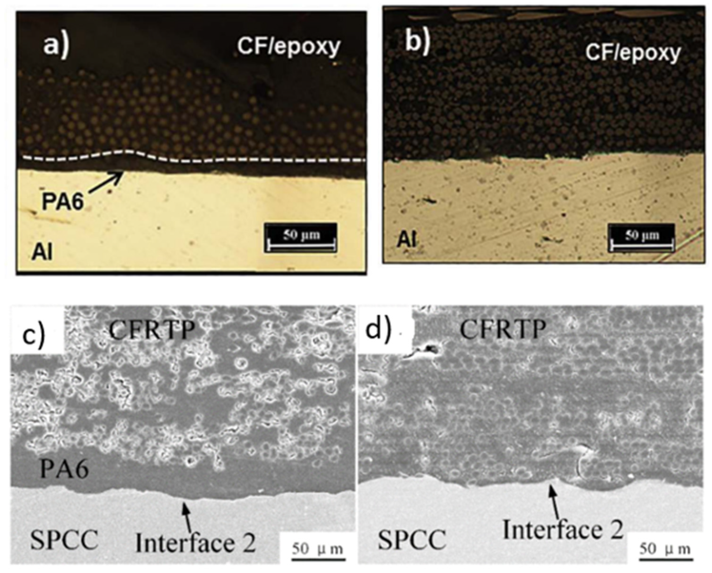 Preprints 102779 g019