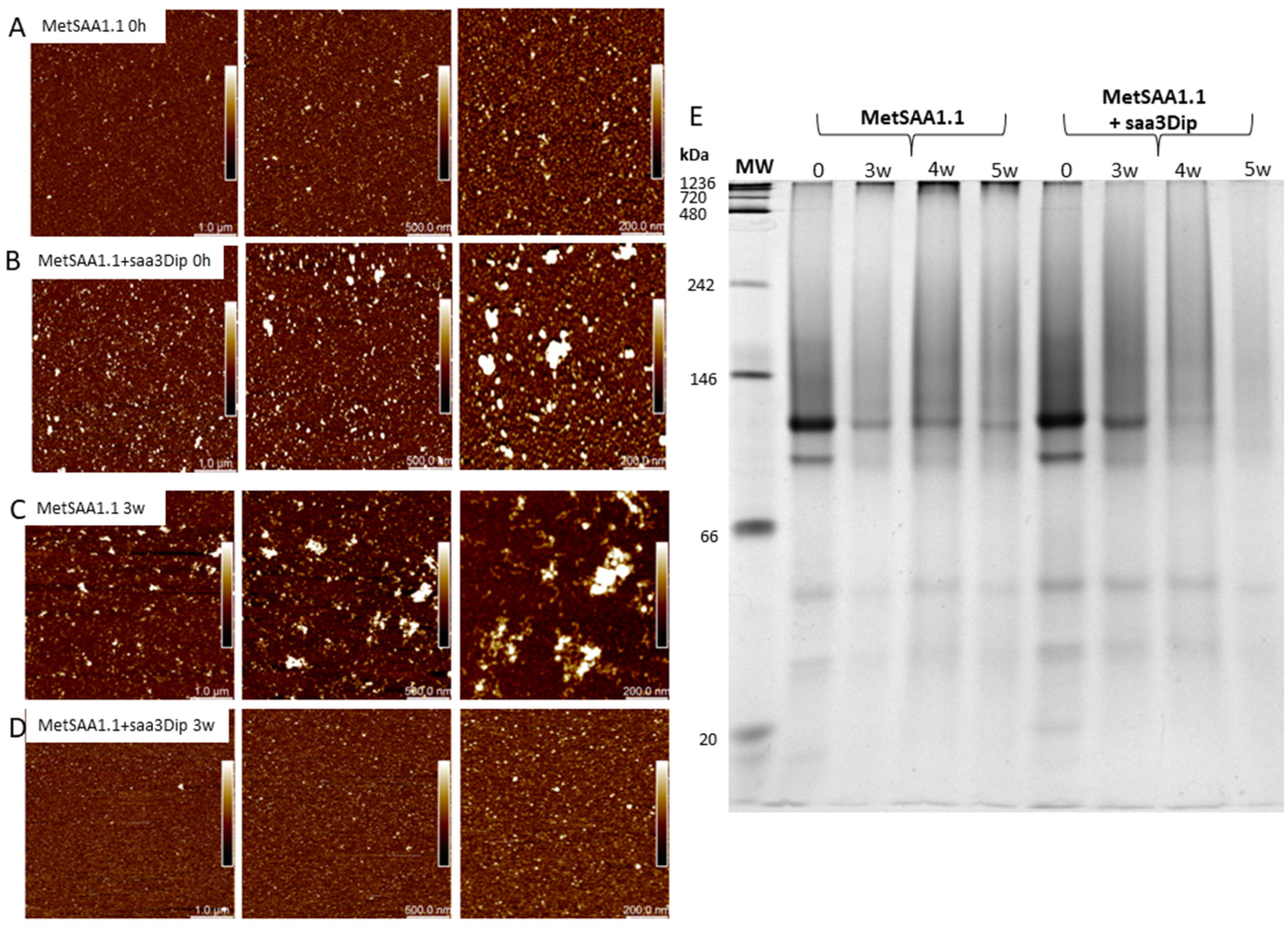 Preprints 119759 g003